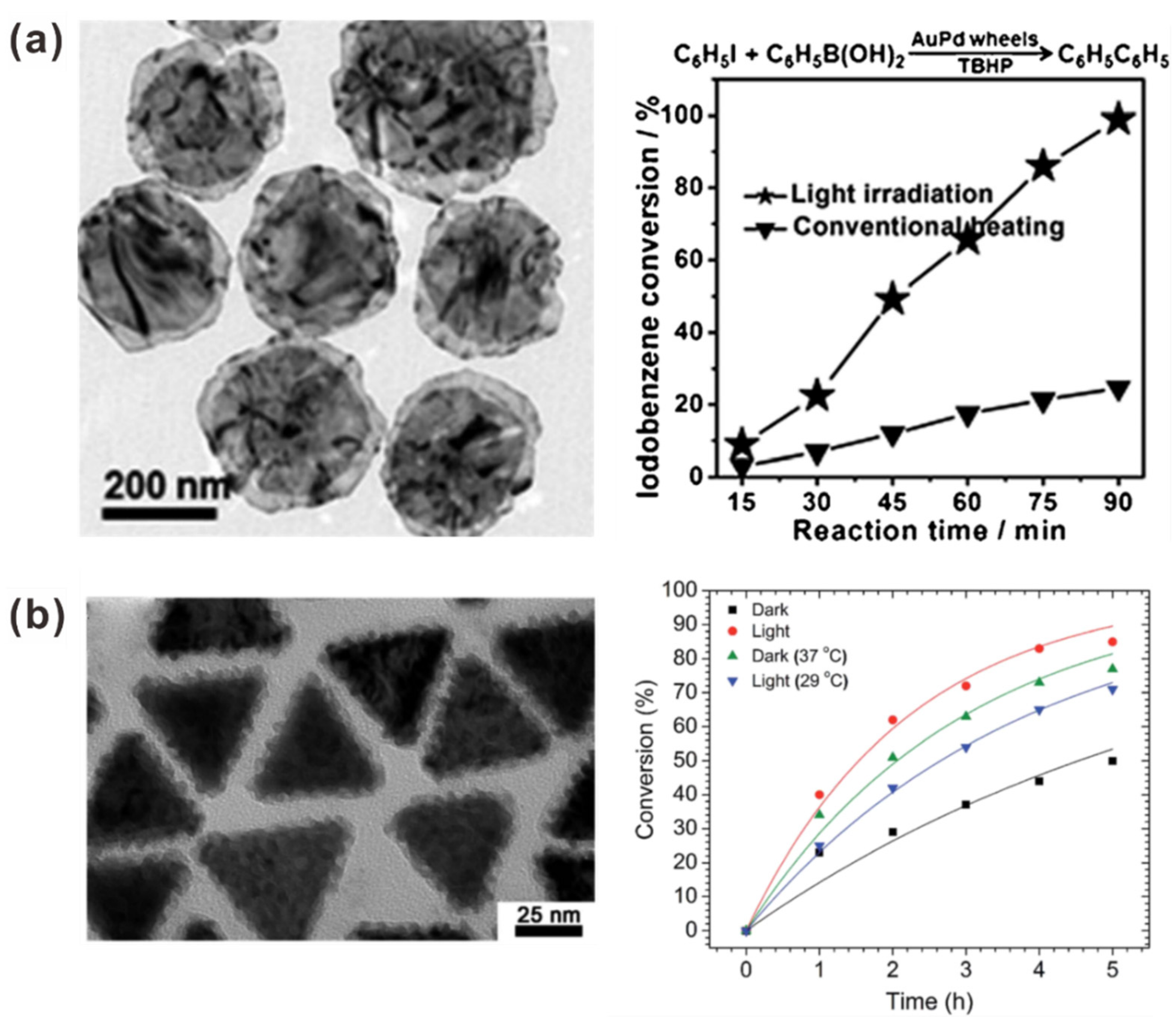 Catalysts 11 00155 g007
