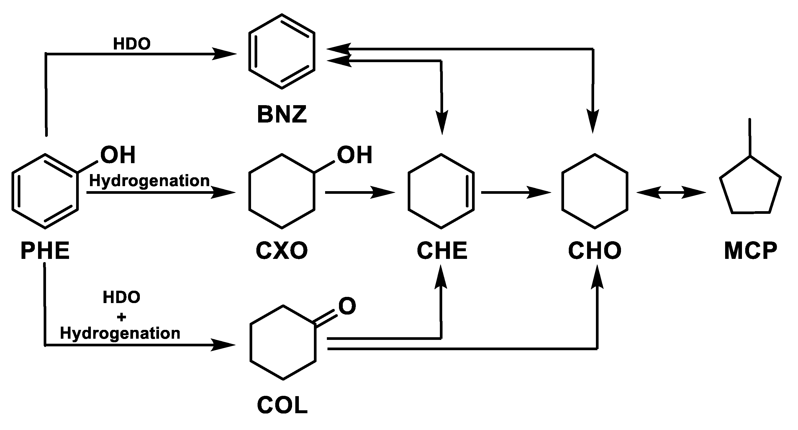 Catalysts 11 00157 g004