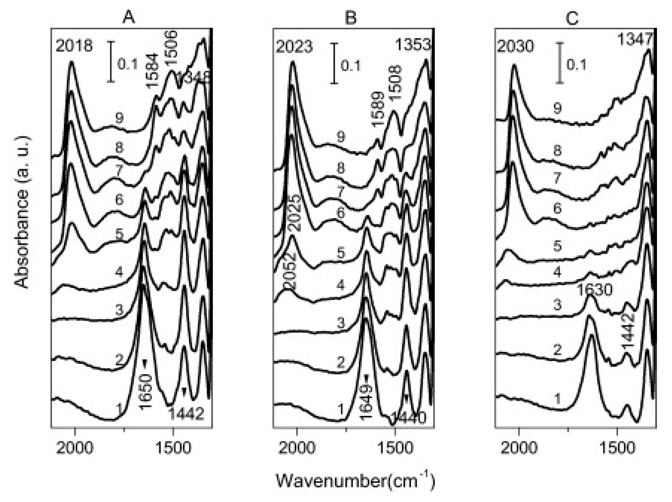 Catalysts 11 00159 g005 Catalysts 11 00159 g005