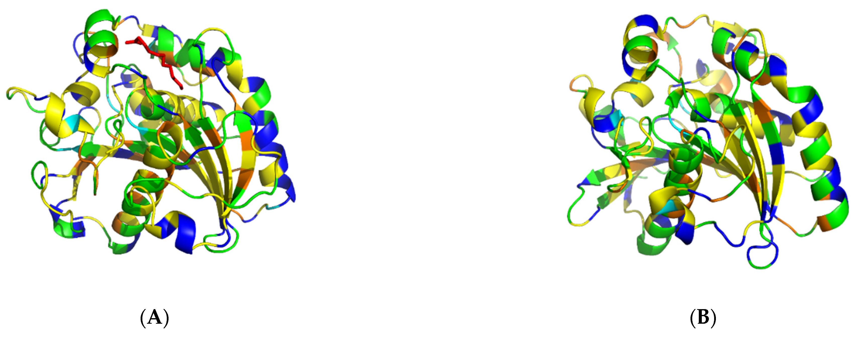 Catalysts 11 00164 g001b