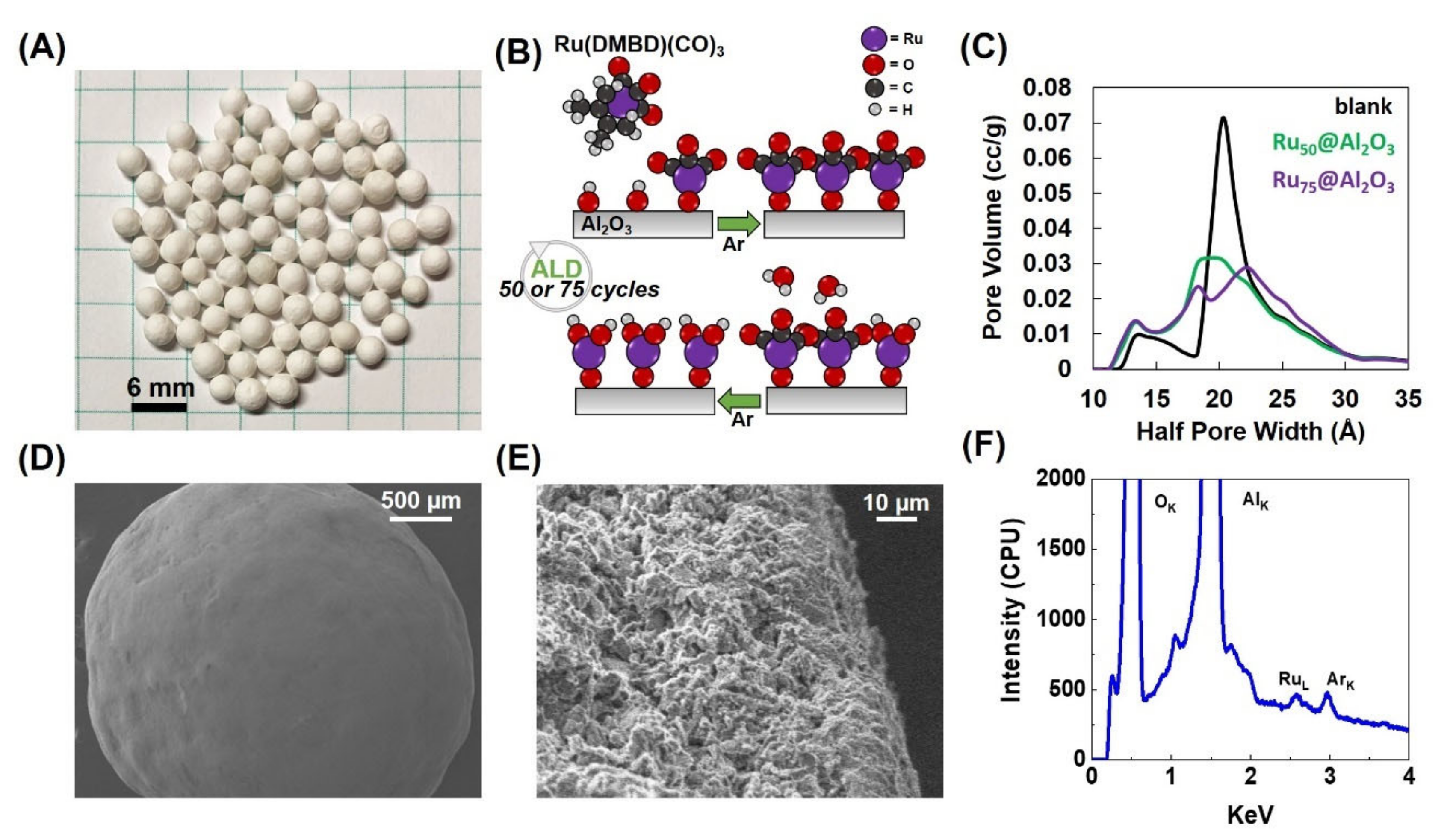 Catalysts 11 00165 g001