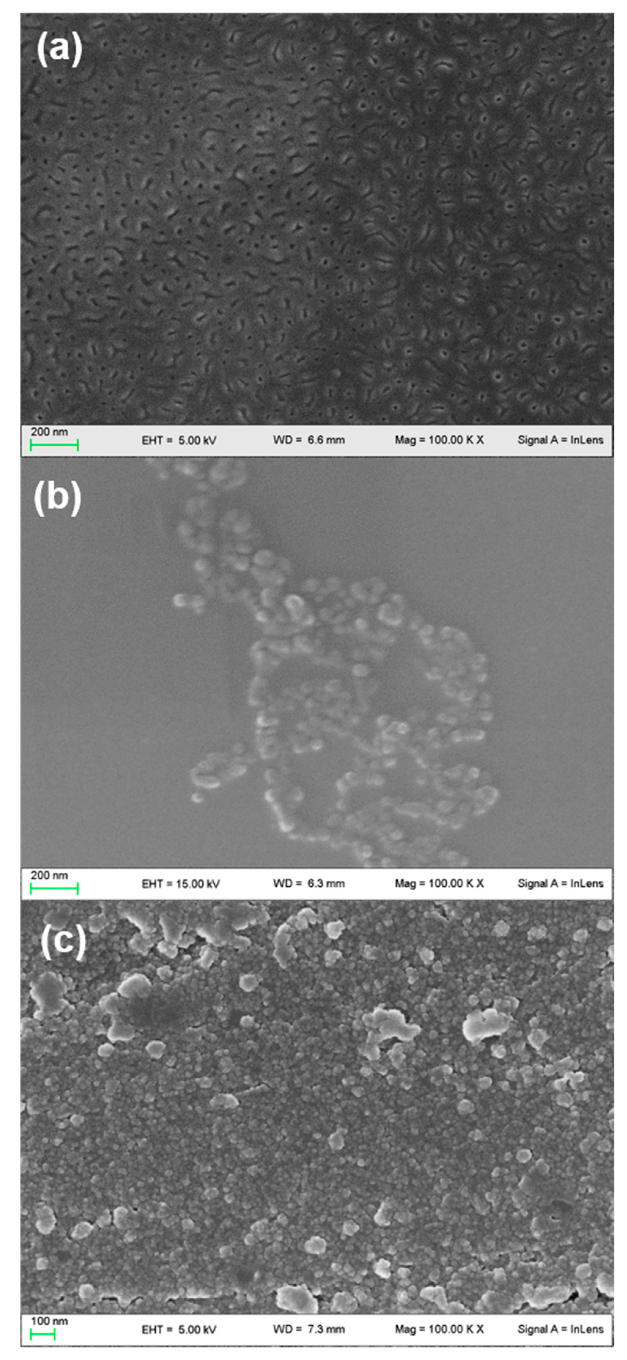 Catalysts 11 00167 g001