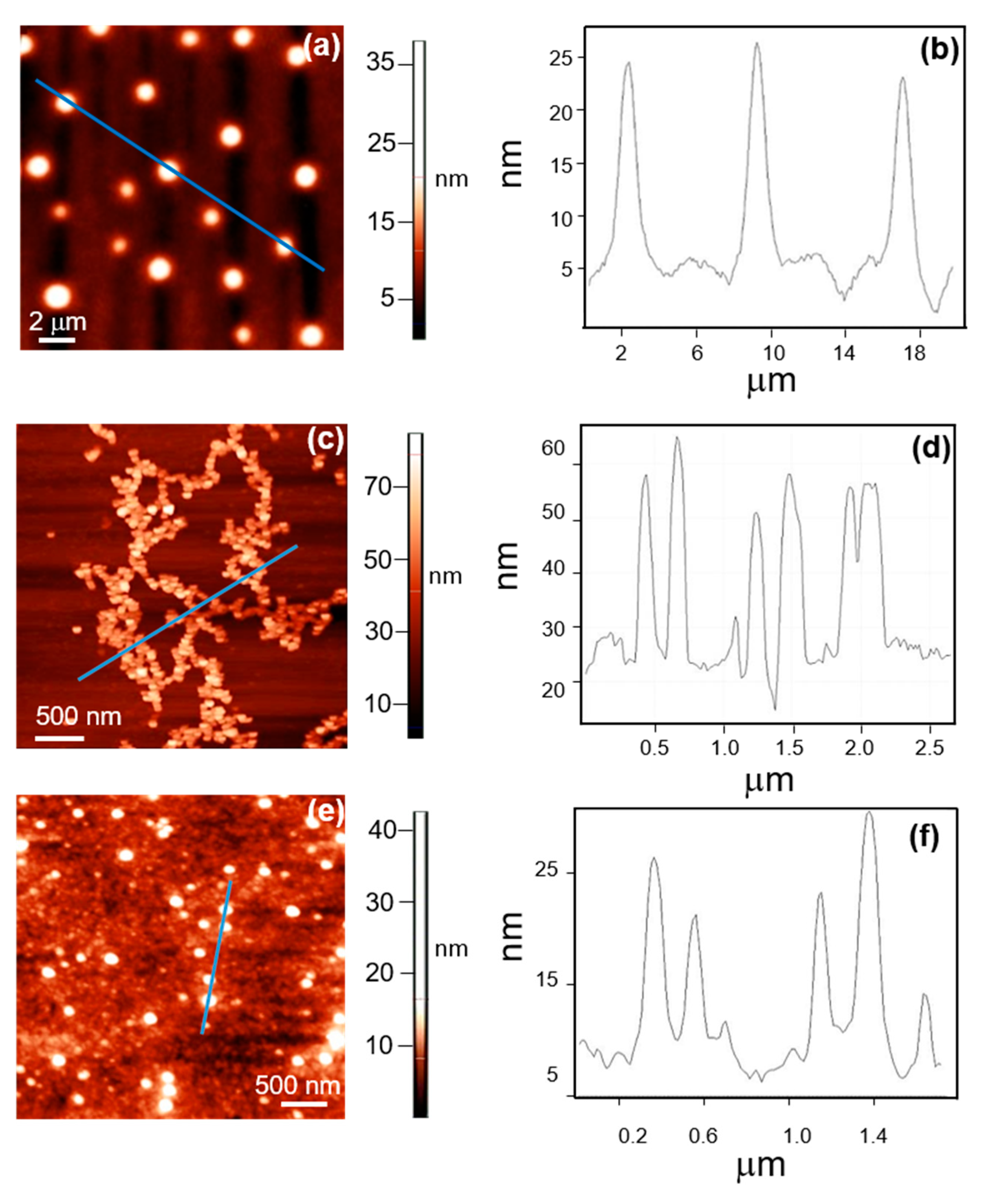 Catalysts 11 00167 g002