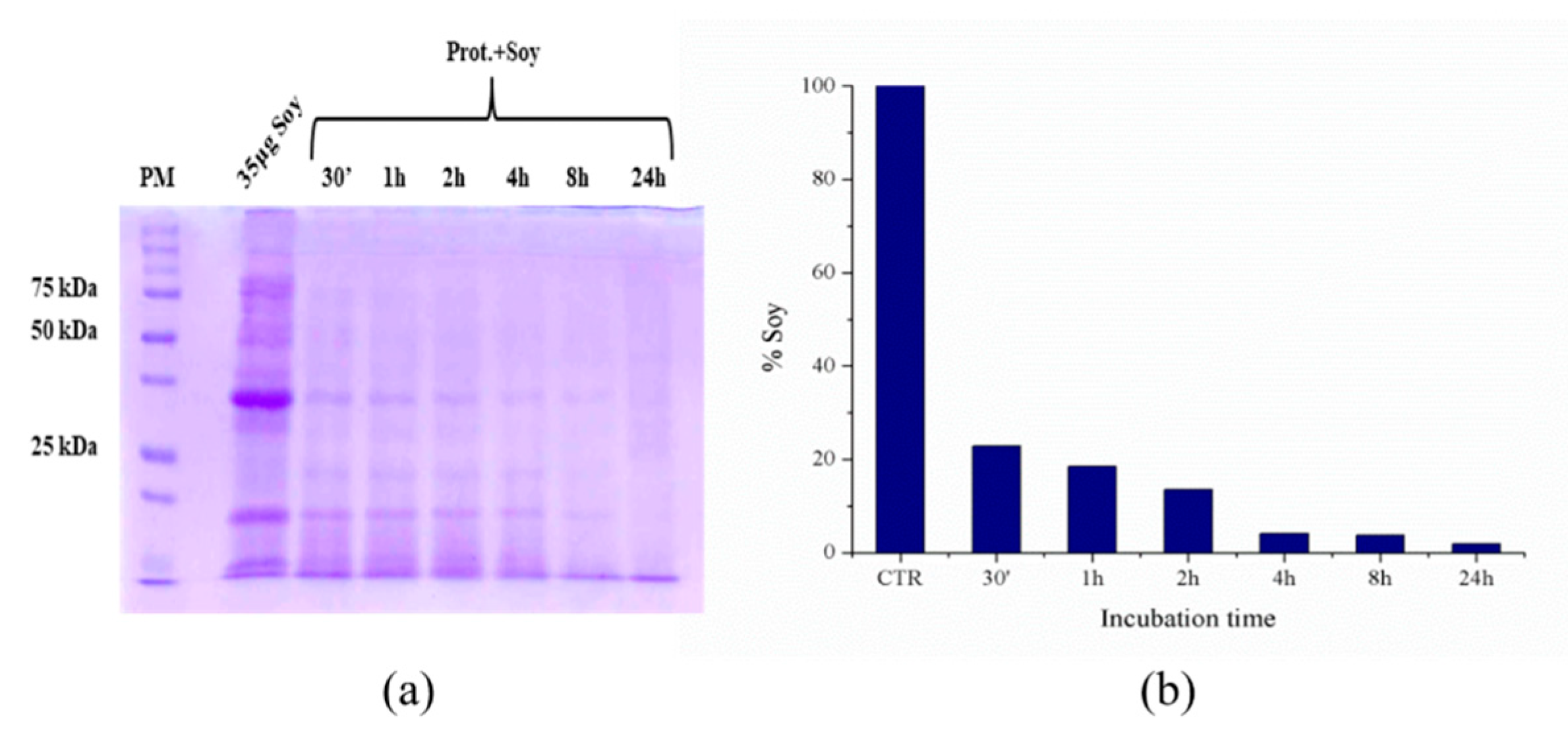 Catalysts 11 00167 g010