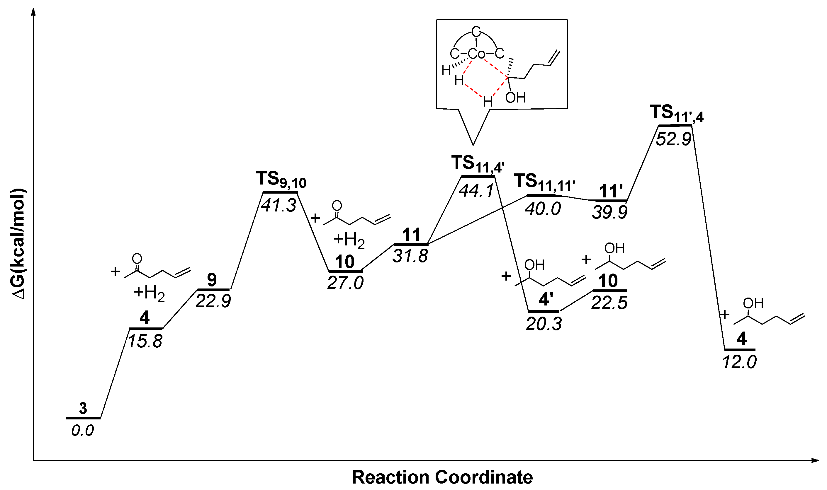 Catalysts 11 00168 g003 Catalysts 11 00168 g003