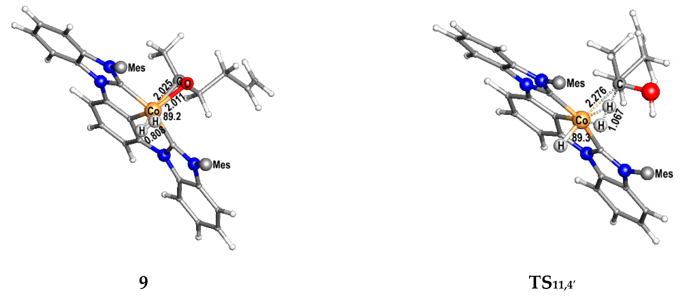 Catalysts 11 00168 g004 Catalysts 11 00168 g004
