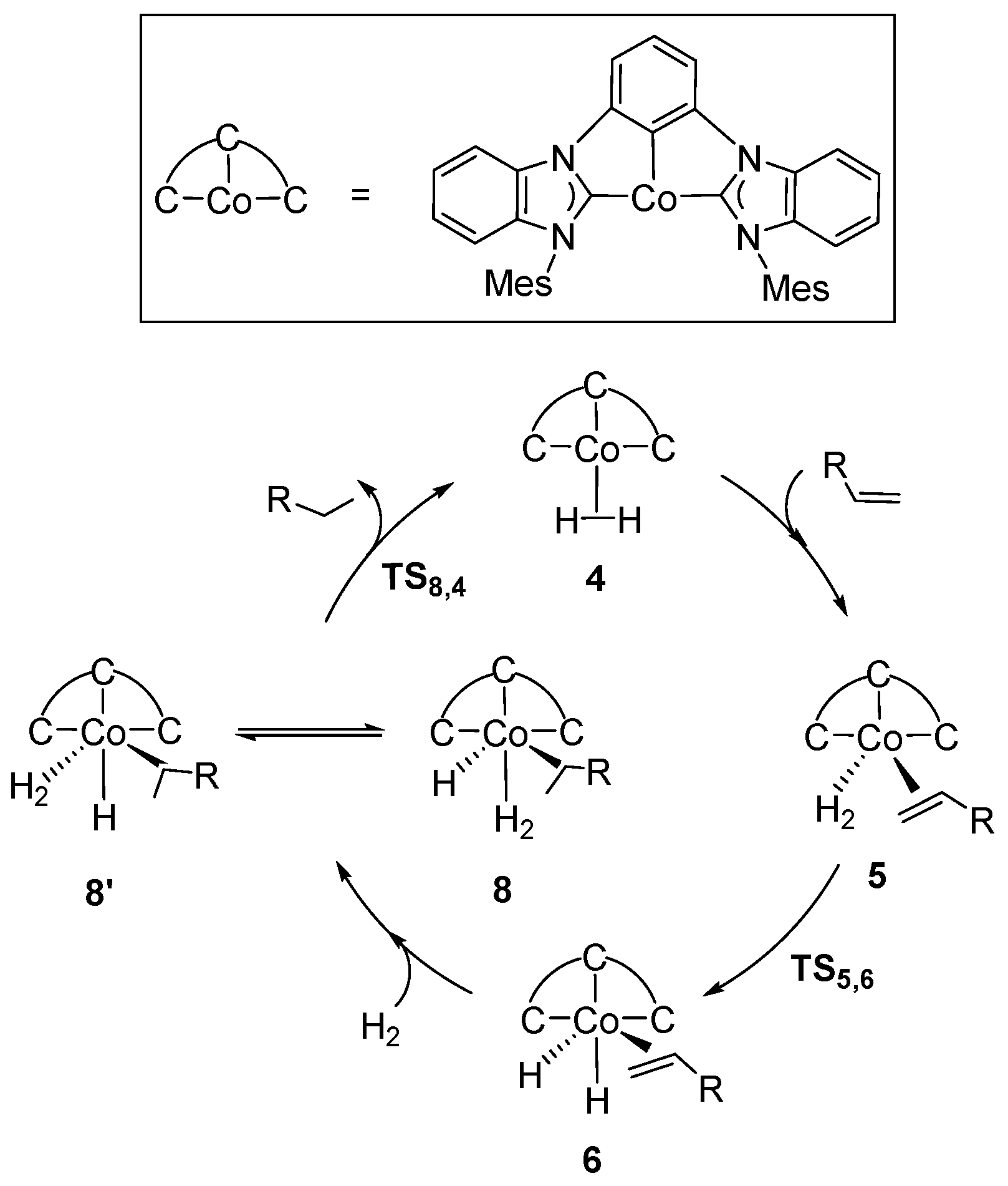 Catalysts 11 00168 sch002 Catalysts 11 00168 sch002