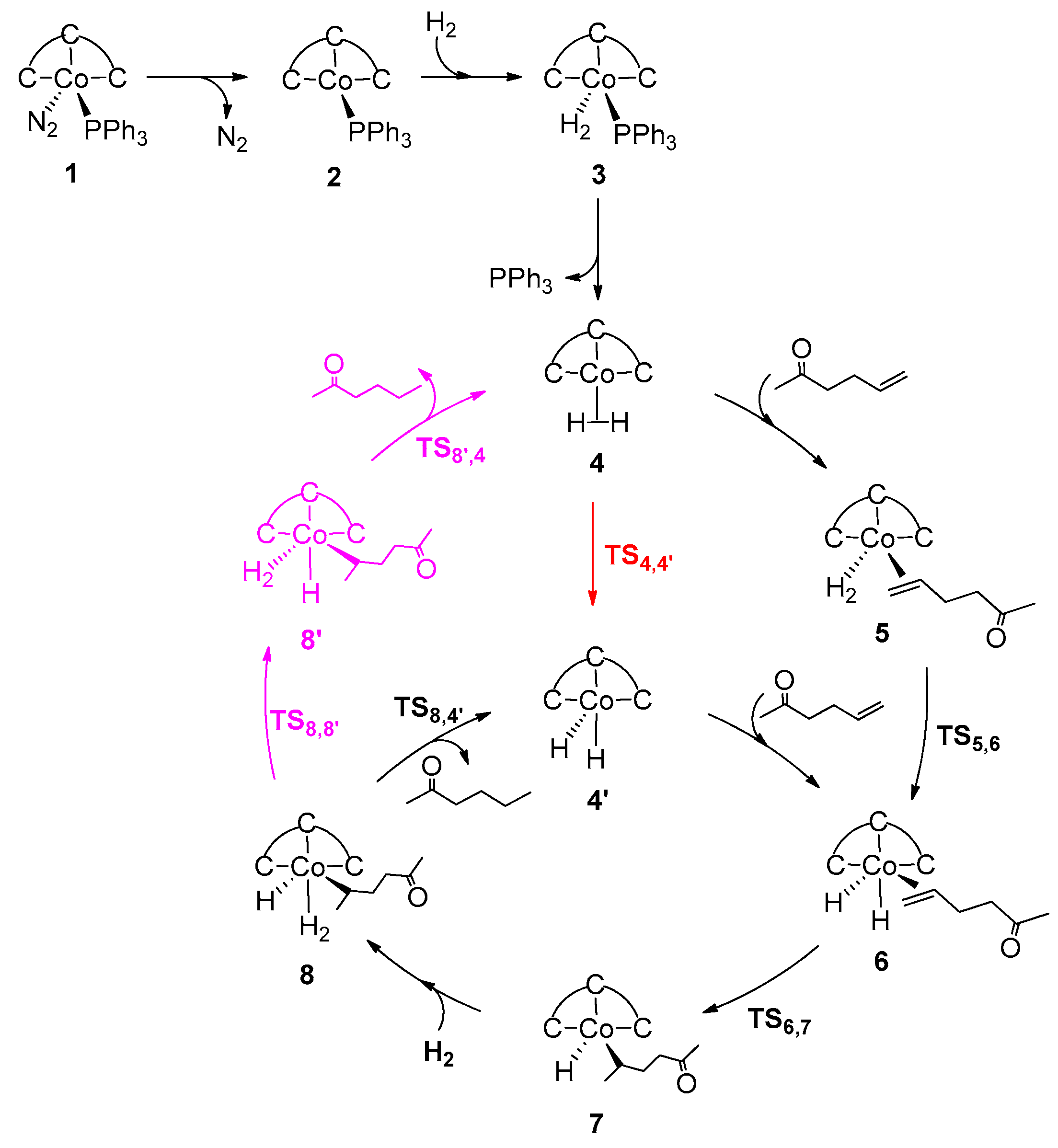 Catalysts 11 00168 sch003 Catalysts 11 00168 sch003