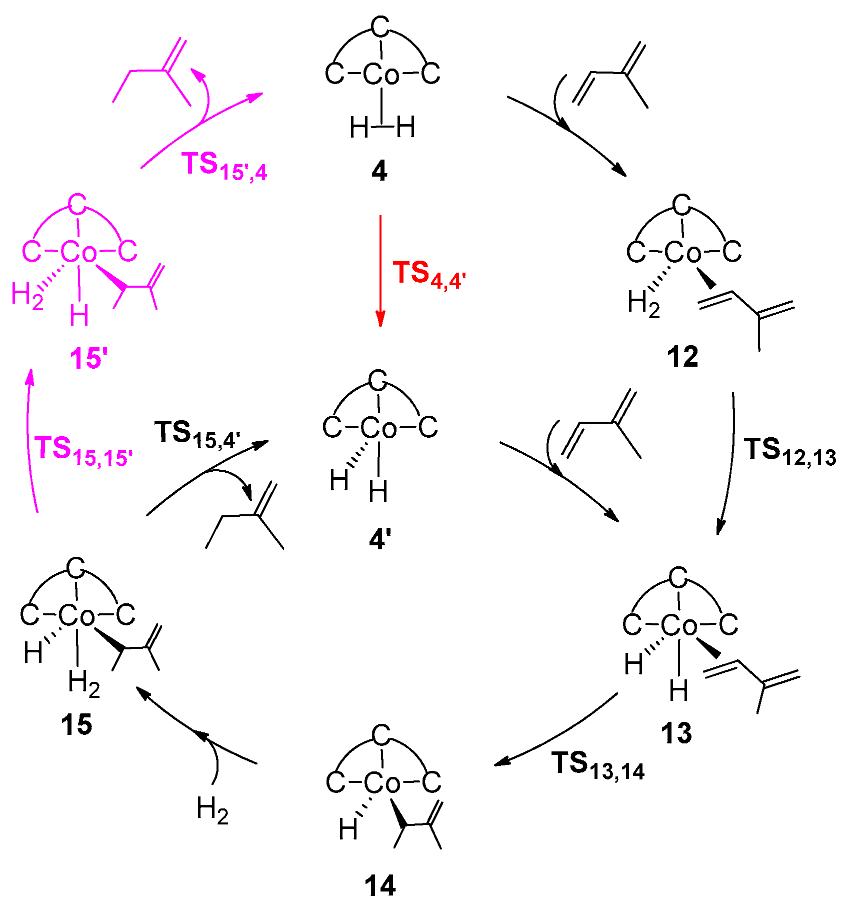 Catalysts 11 00168 sch005 Catalysts 11 00168 sch005