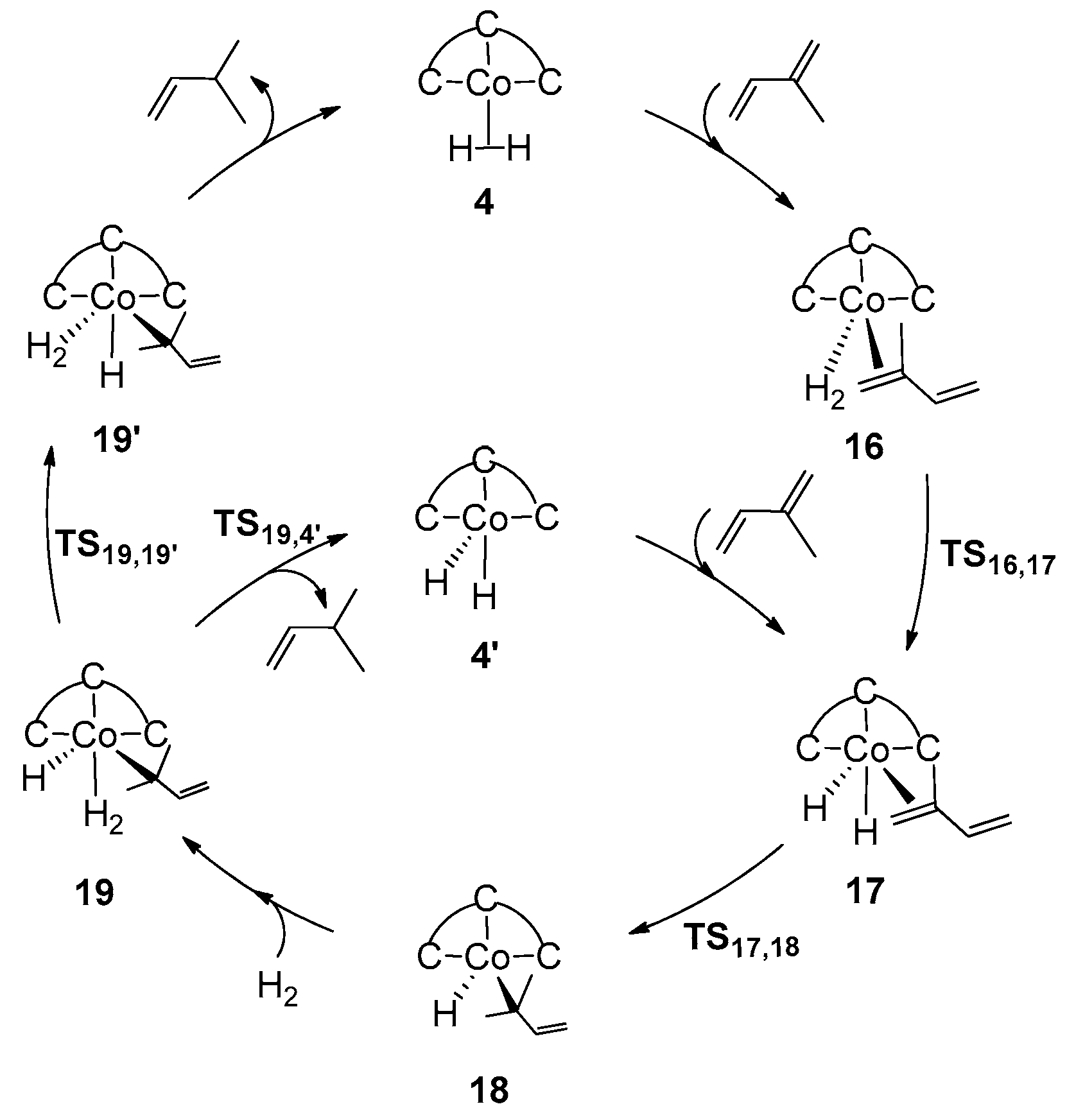 Catalysts 11 00168 sch006 Catalysts 11 00168 sch006