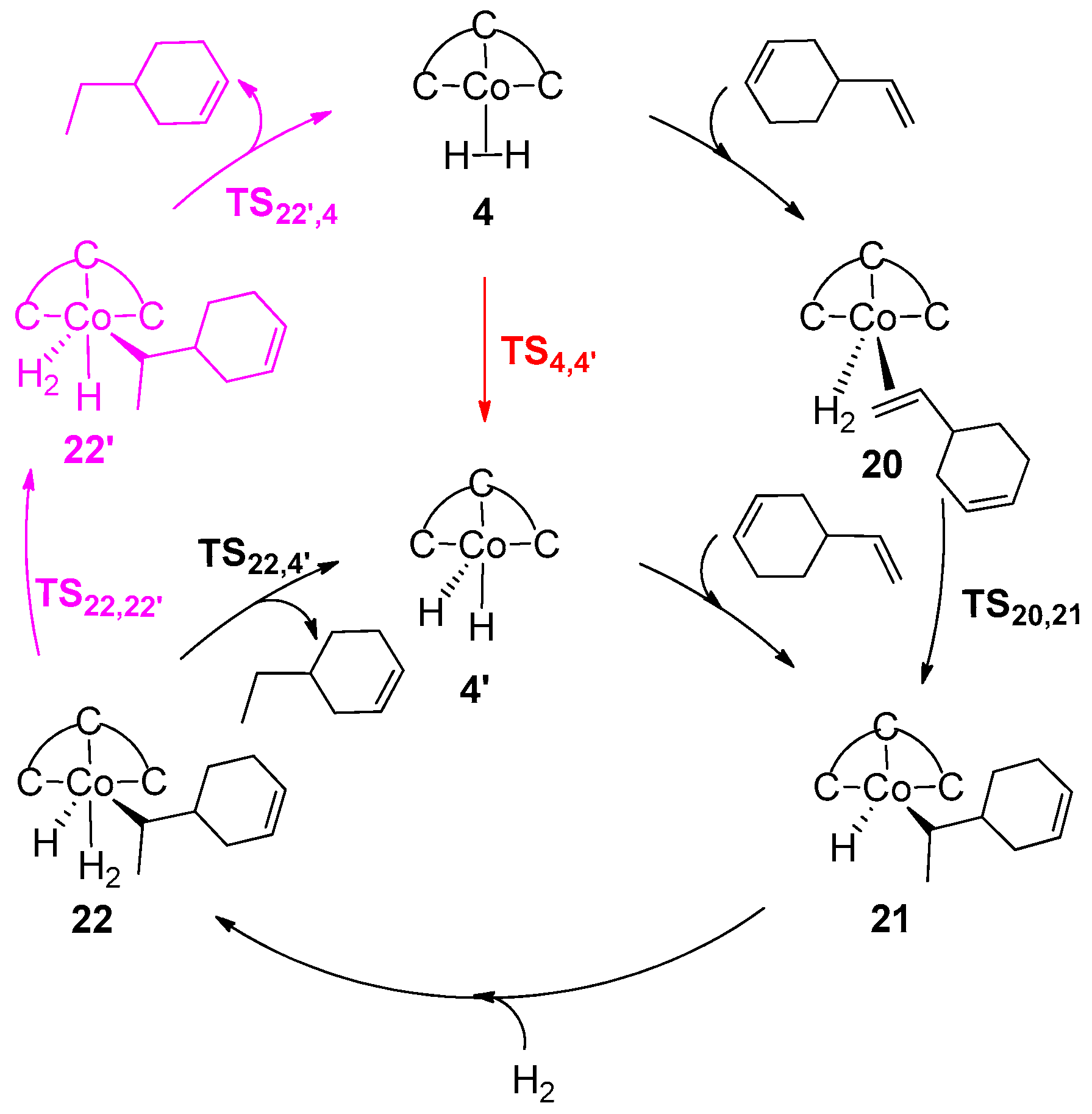 Catalysts 11 00168 sch007 Catalysts 11 00168 sch007