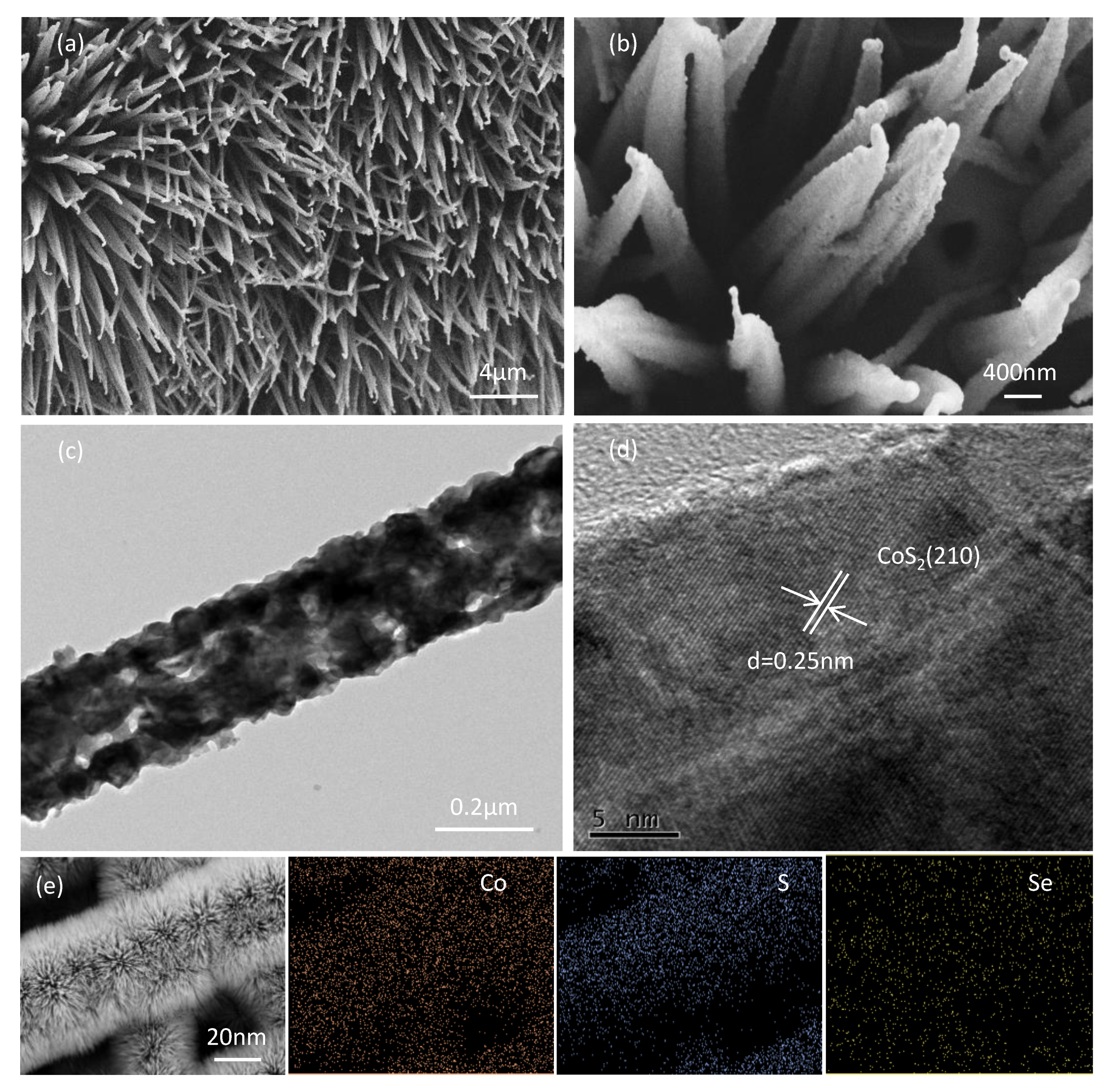 Catalysts 11 00169 g001 Catalysts 11 00169 g001