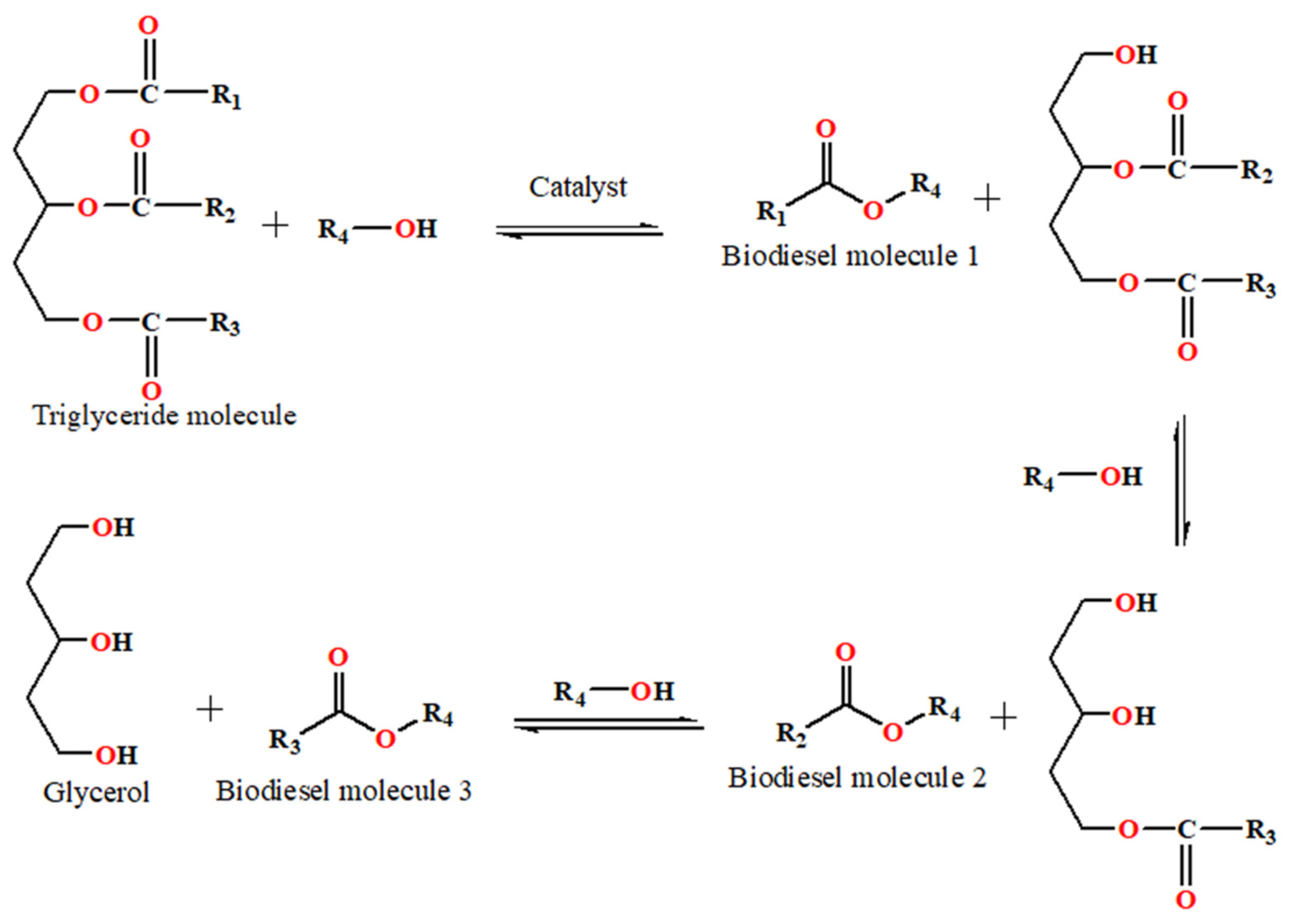 Catalysts 11 00171 g001