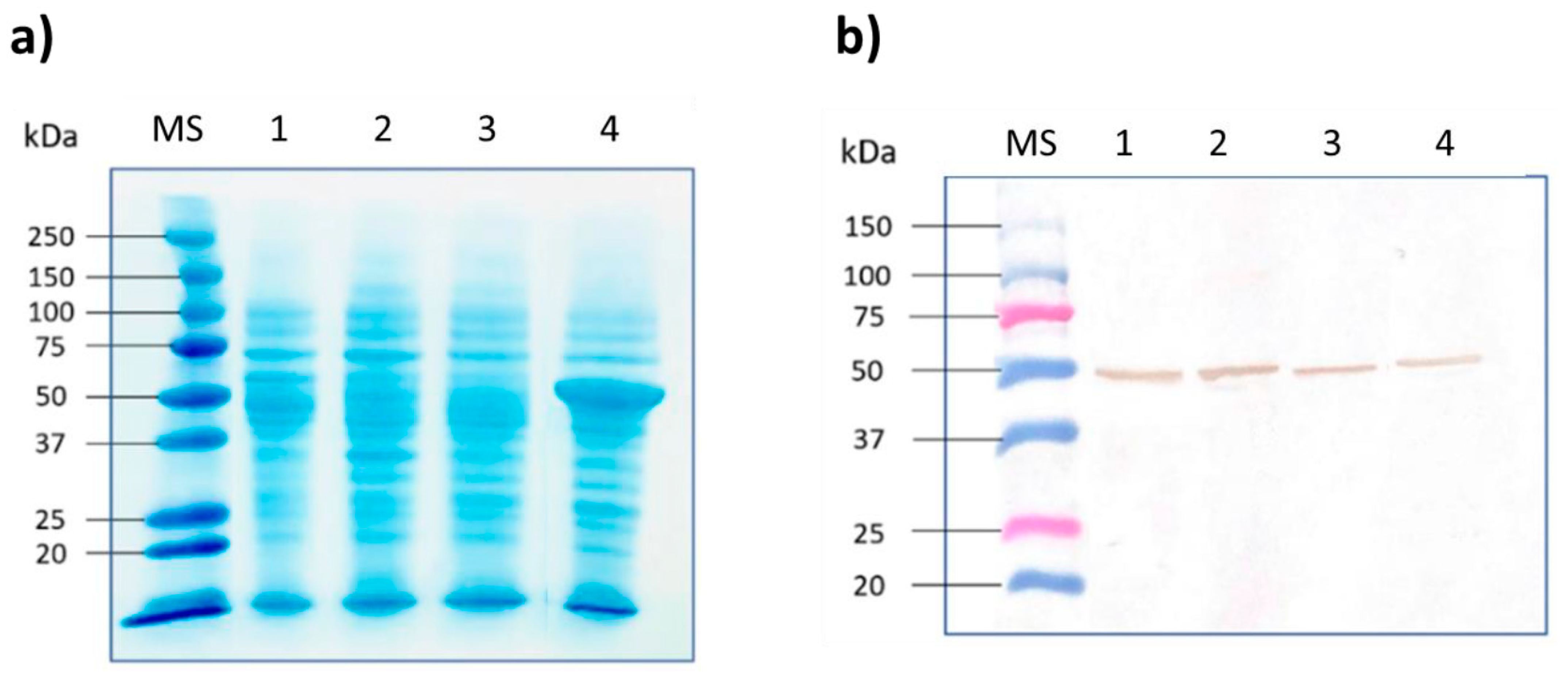 Catalysts 11 00176 g003