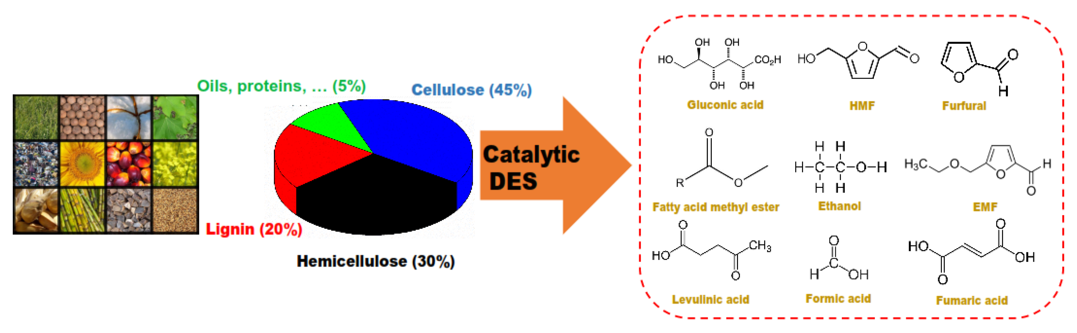 Catalysts 11 00178 g001 Catalysts 11 00178 g001