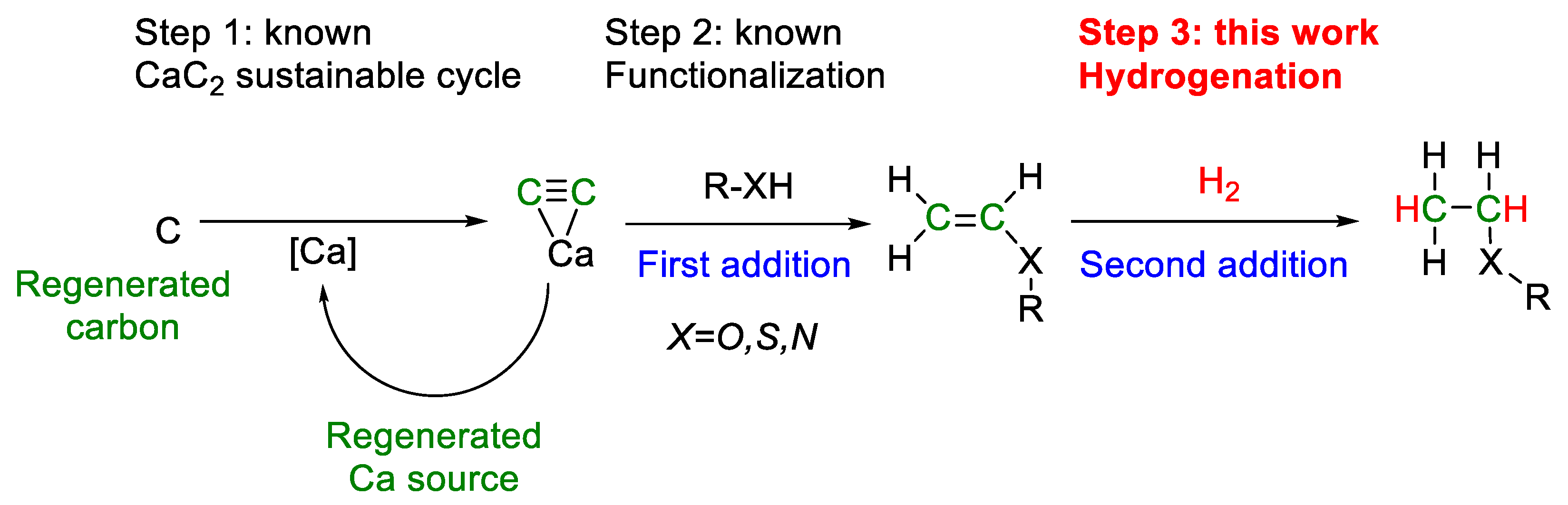 Catalysts 11 00179 sch001 Catalysts 11 00179 sch001