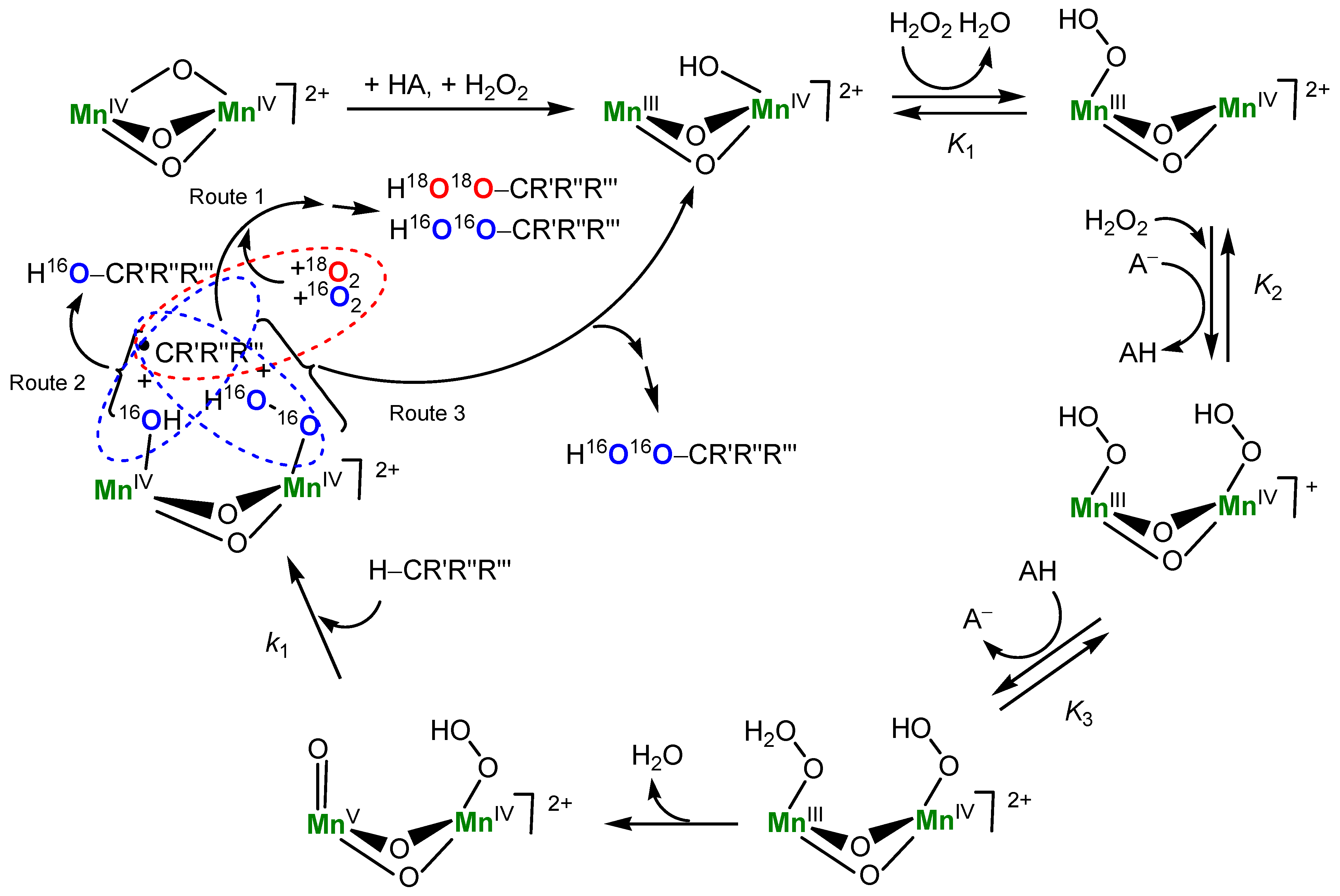 Catalysts 11 00186 g020