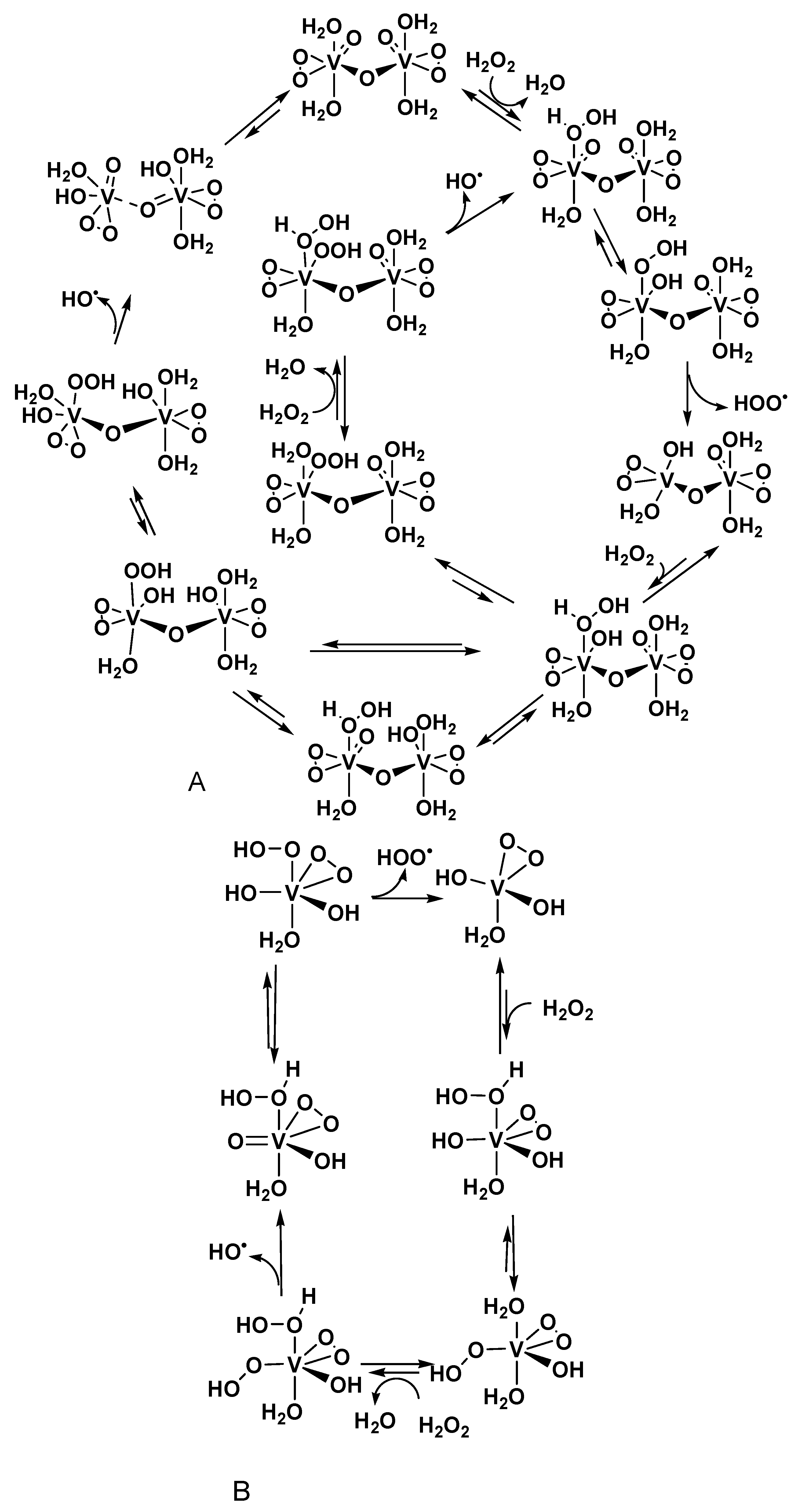 Catalysts 11 00186 g022