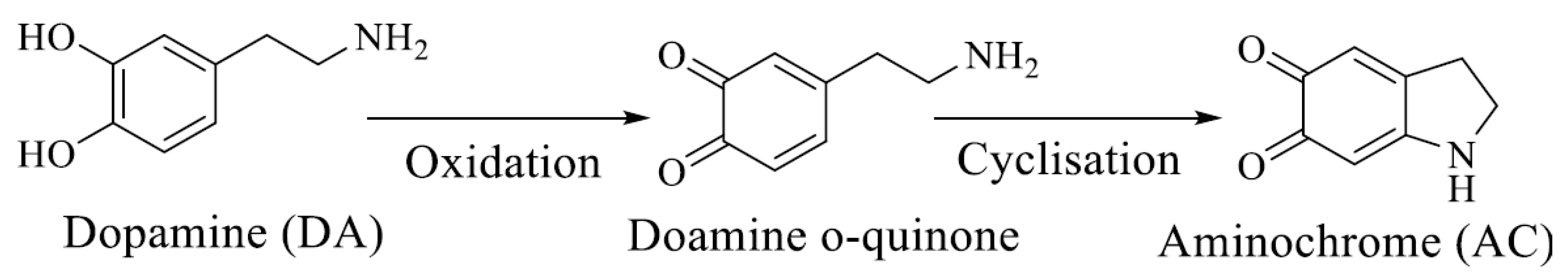 Catalysts 11 00186 g027