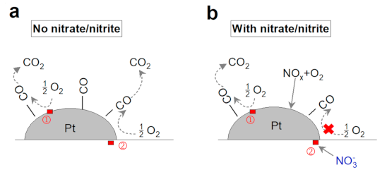 Catalysts 11 00200 g010 Catalysts 11 00200 g010