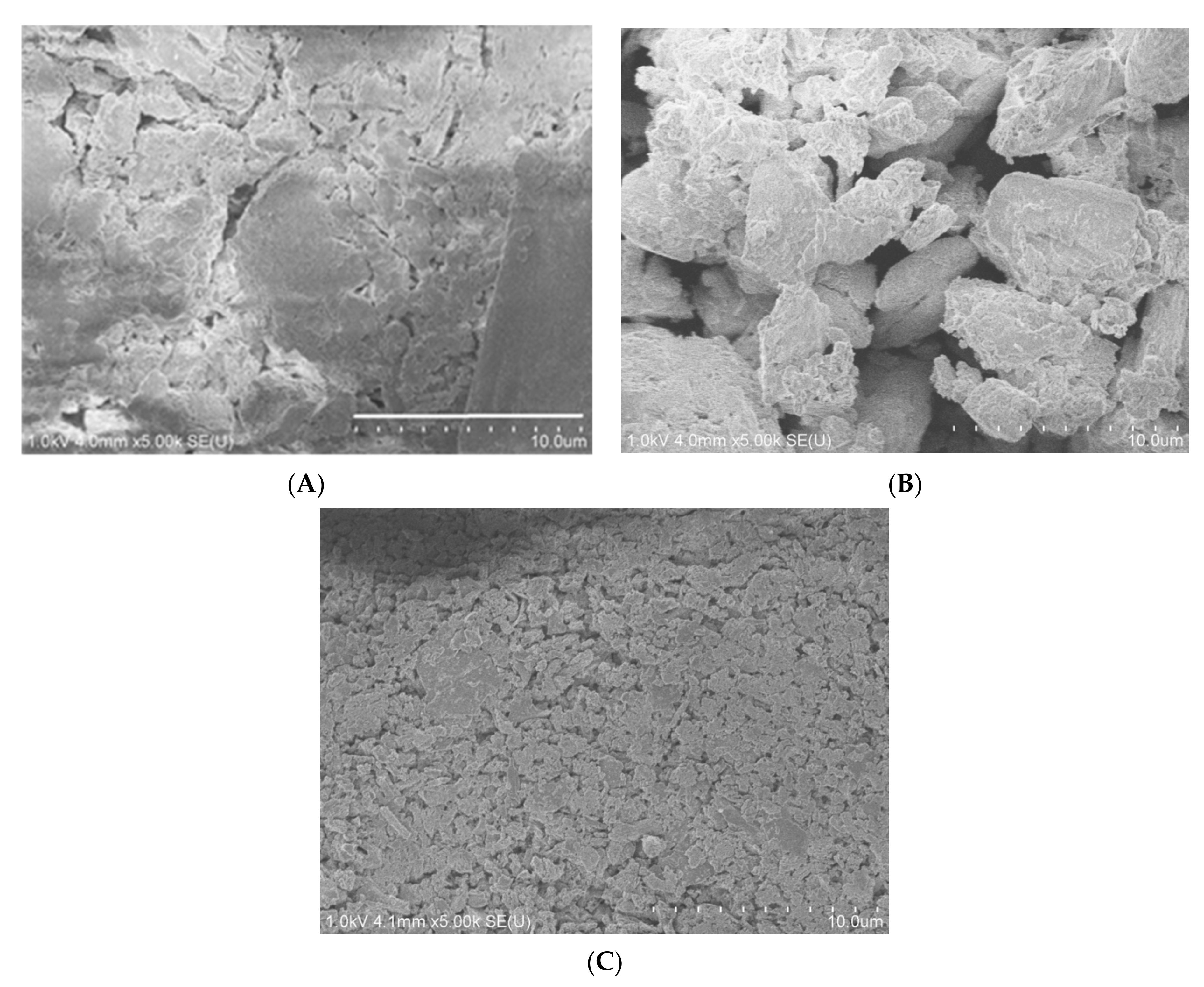 Catalysts 11 00203 g001