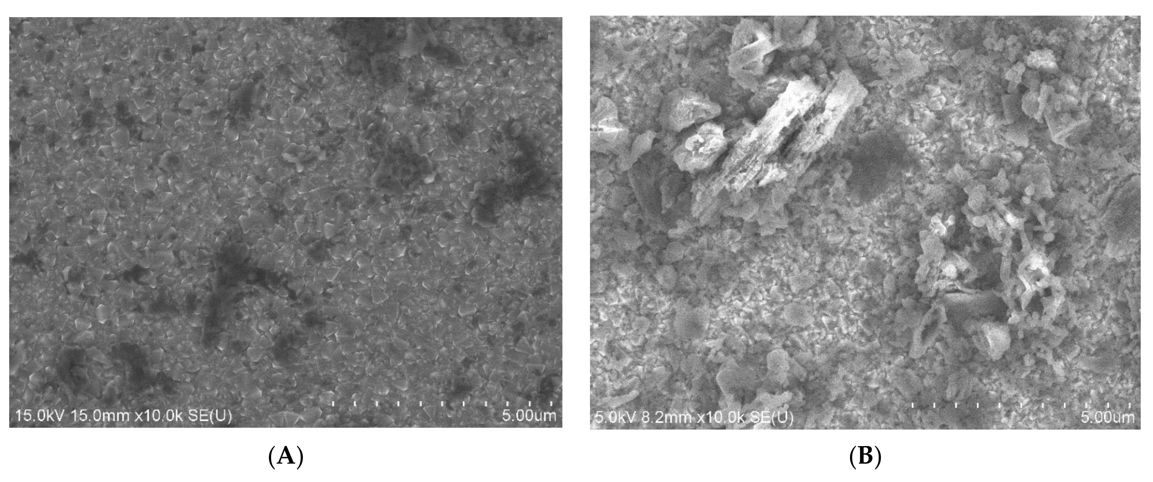 Catalysts 11 00203 g003