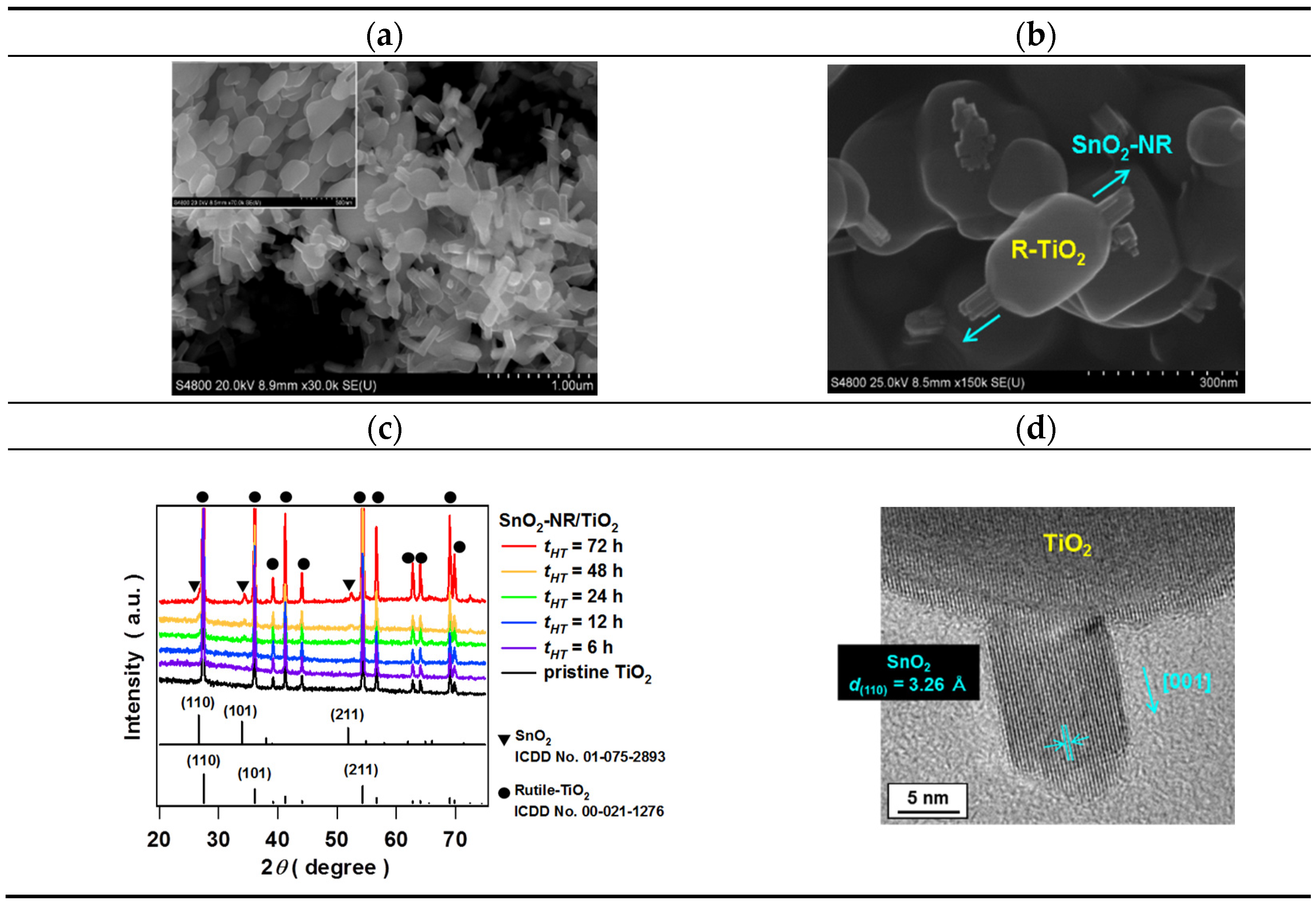 Catalysts 11 00205 g003