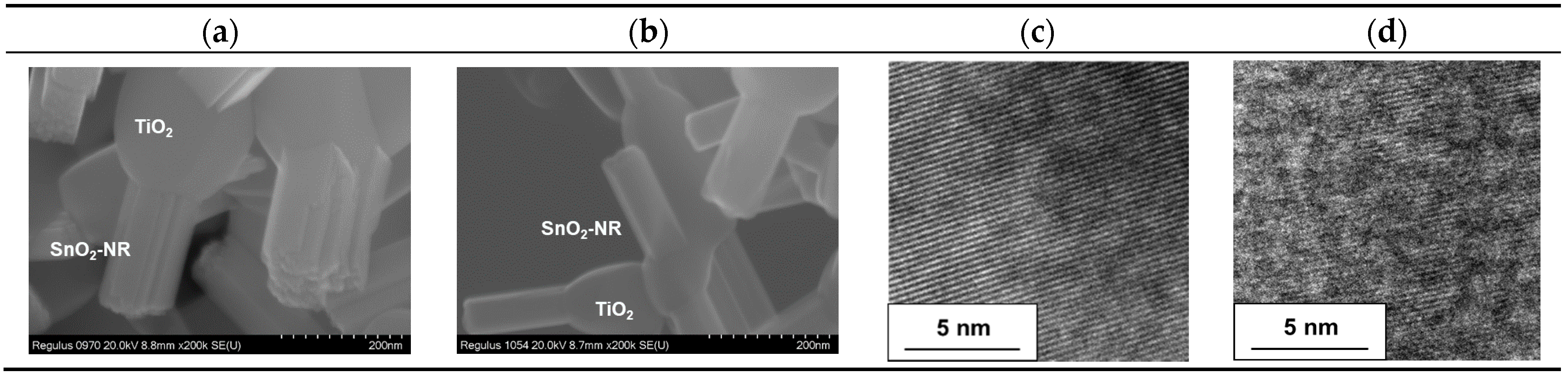 Catalysts 11 00205 g005