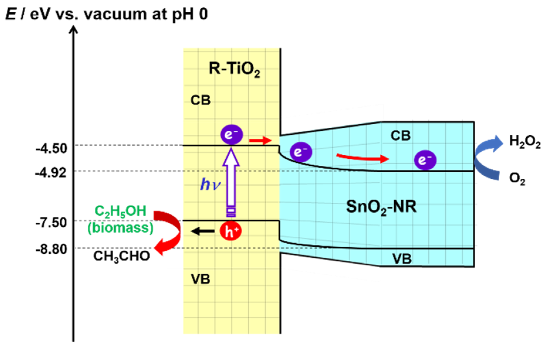 Catalysts 11 00205 sch002