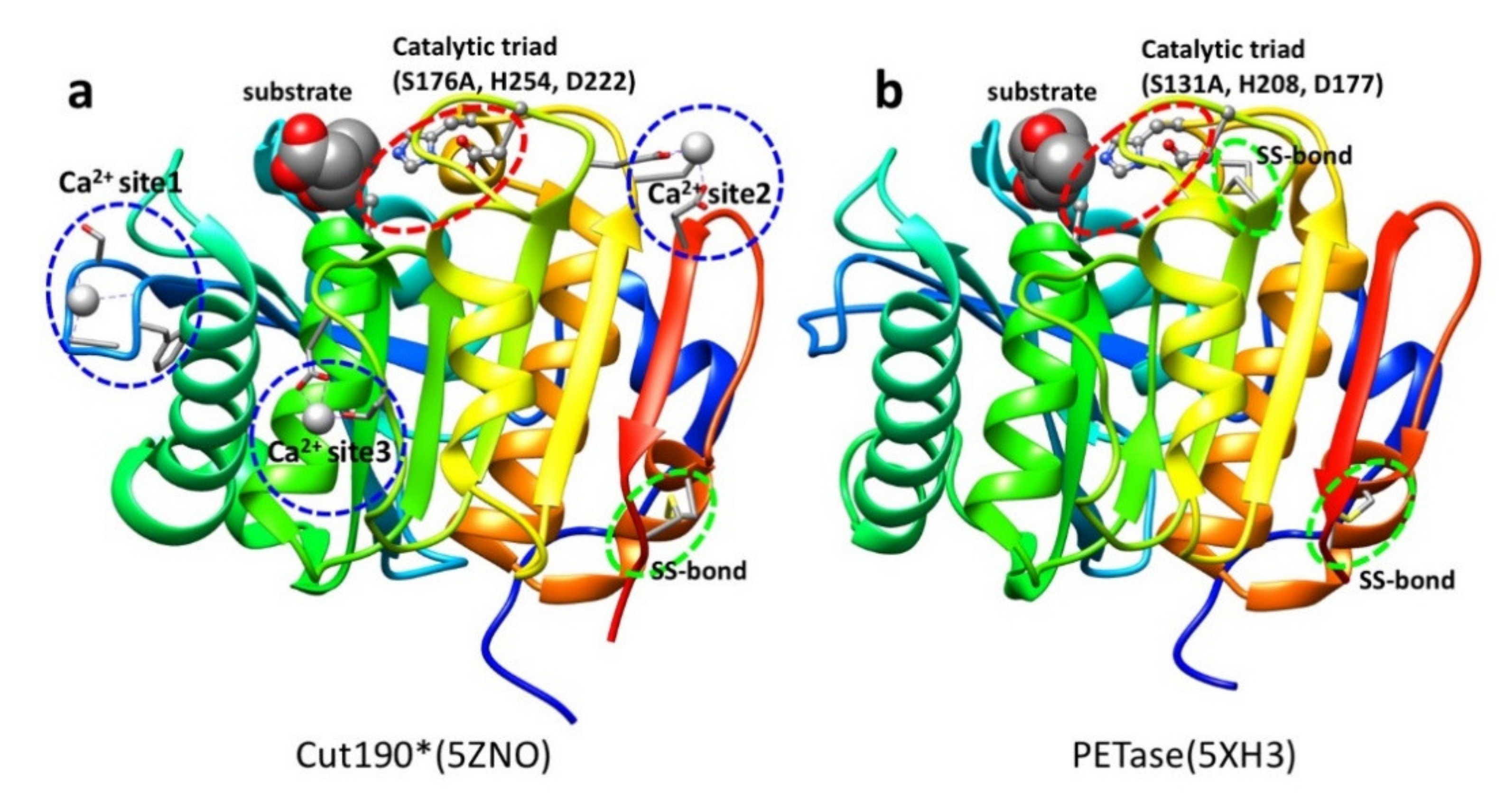 Catalysts 11 00206 g001 Catalysts 11 00206 g001