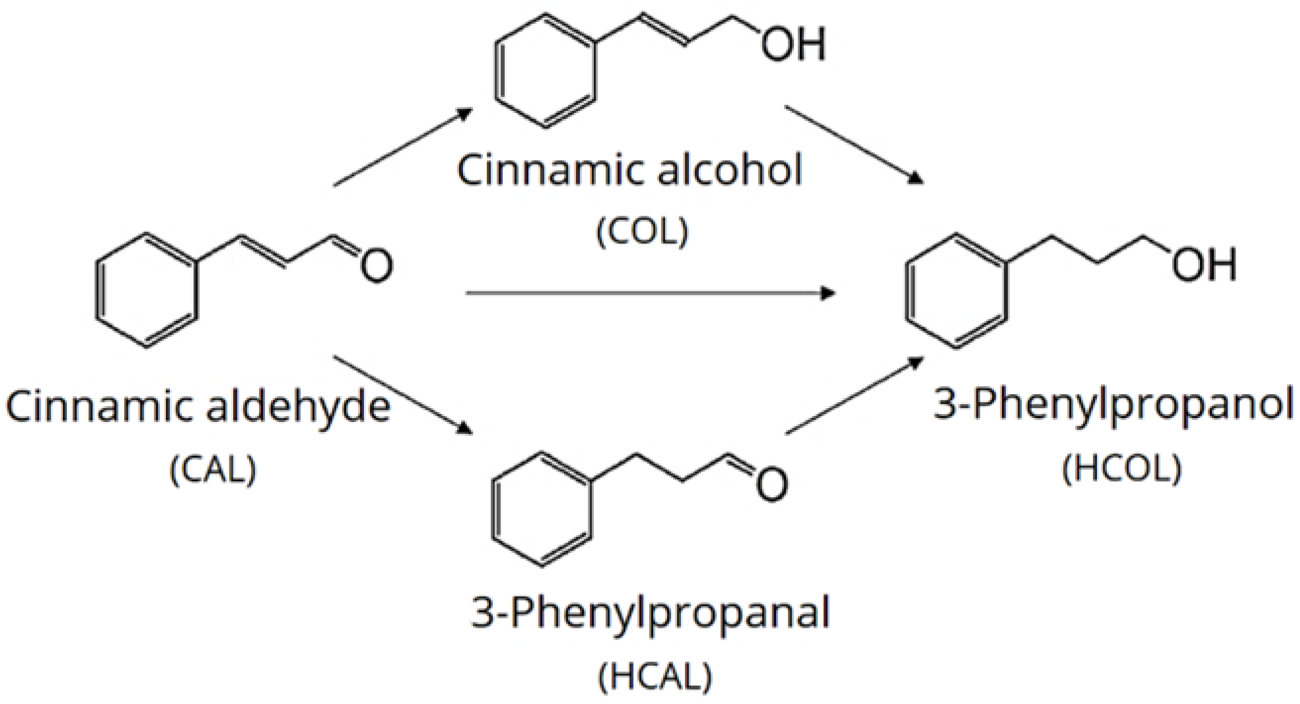 Catalysts 11 00207 g001
