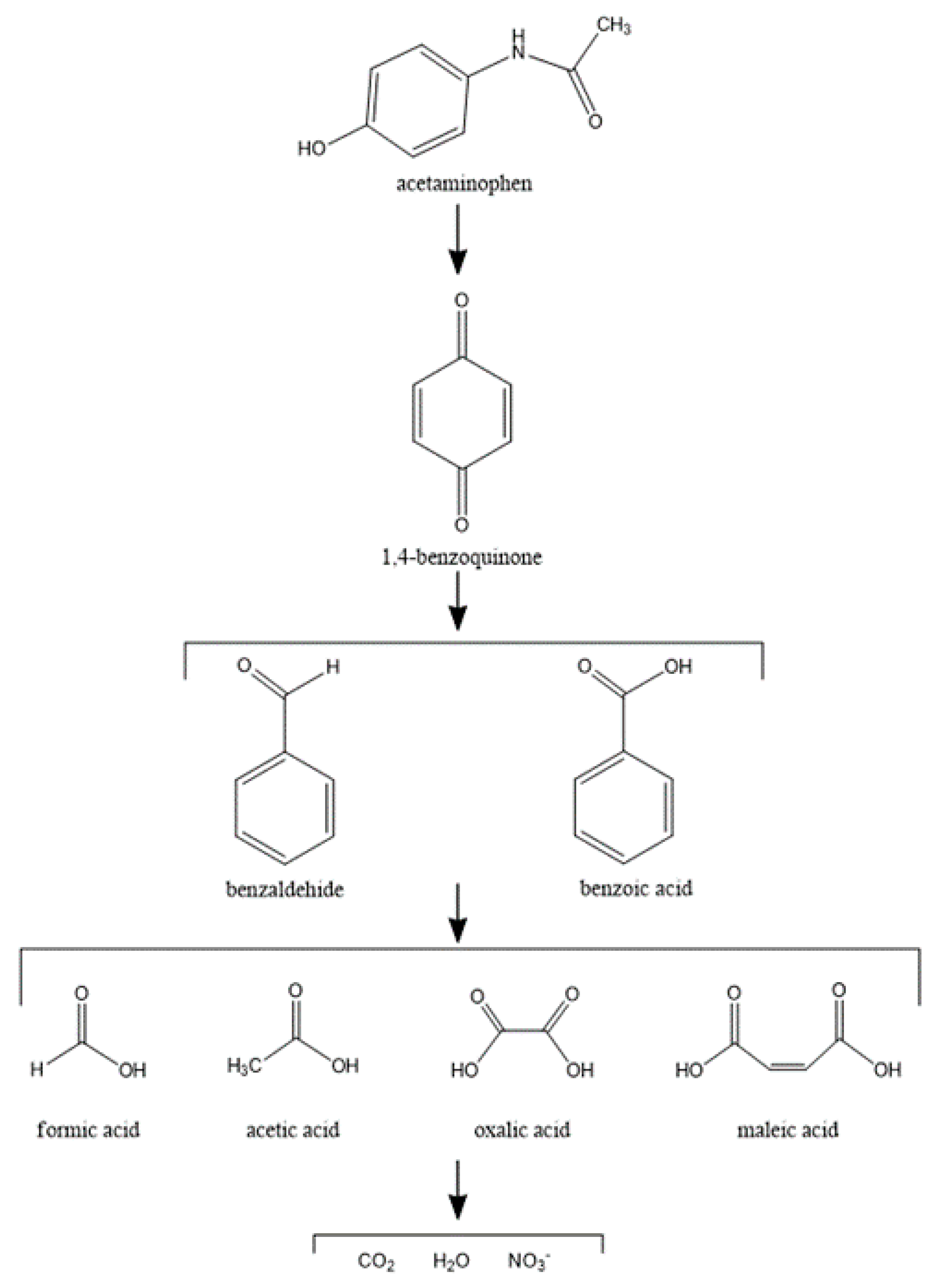 Catalysts 11 00219 g008 Catalysts 11 00219 g008