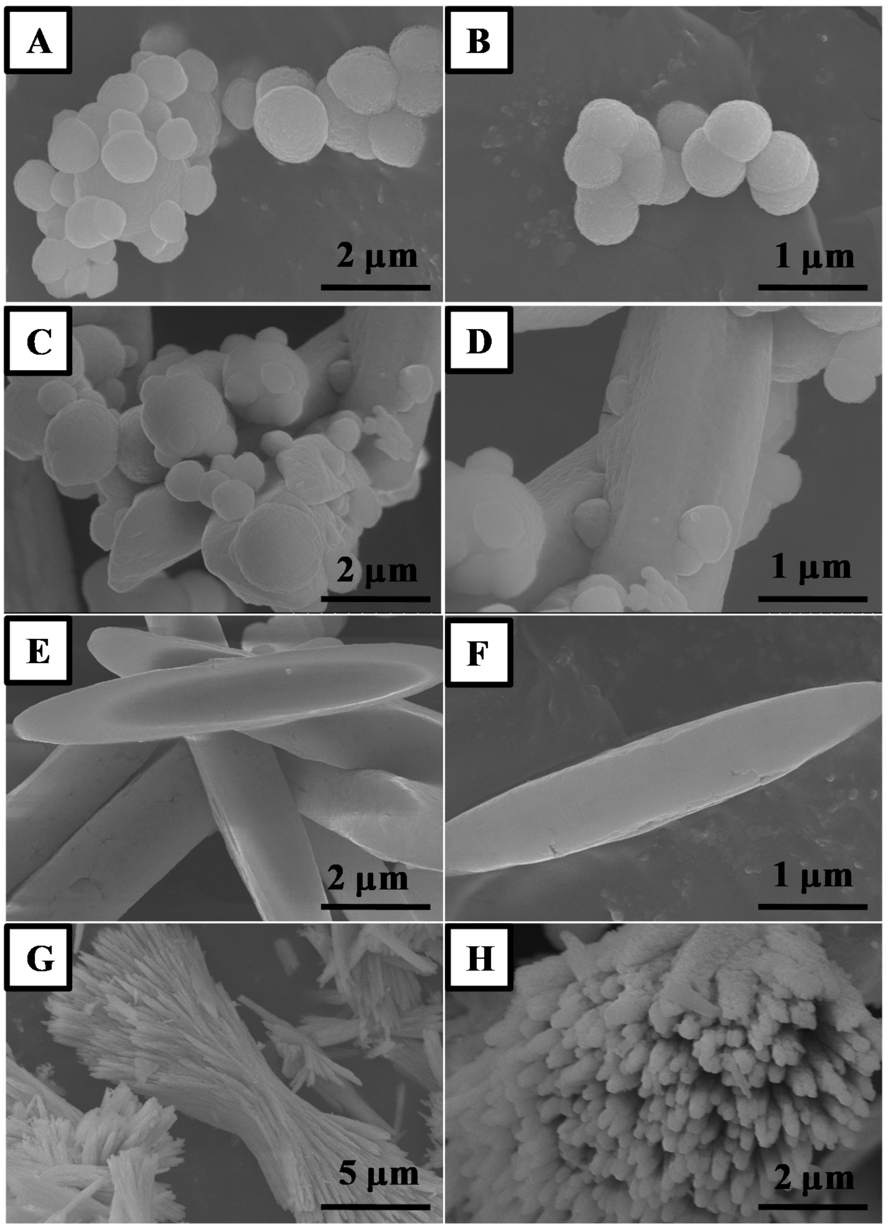 Catalysts 11 00223 g001