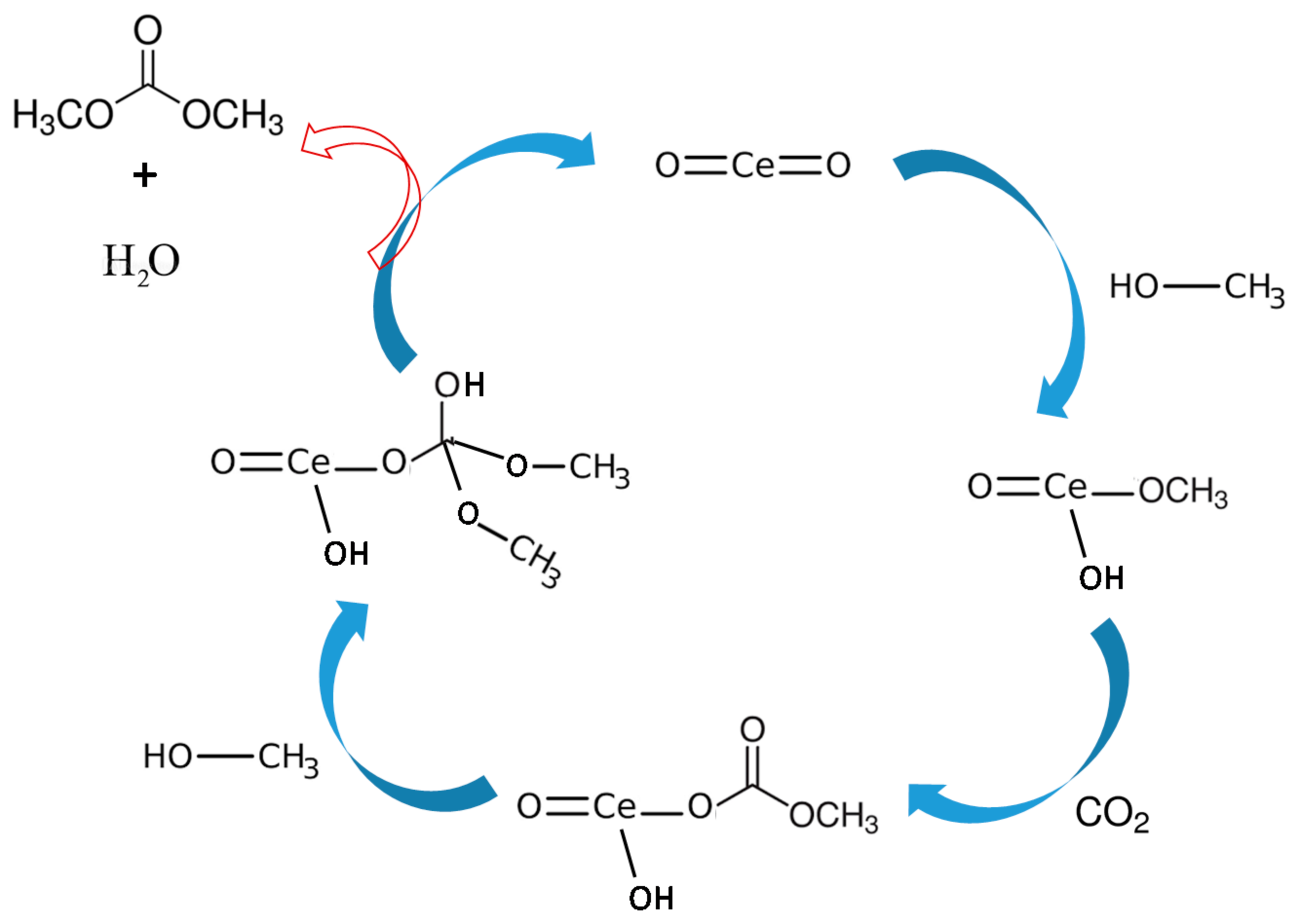 Catalysts 11 00223 g008