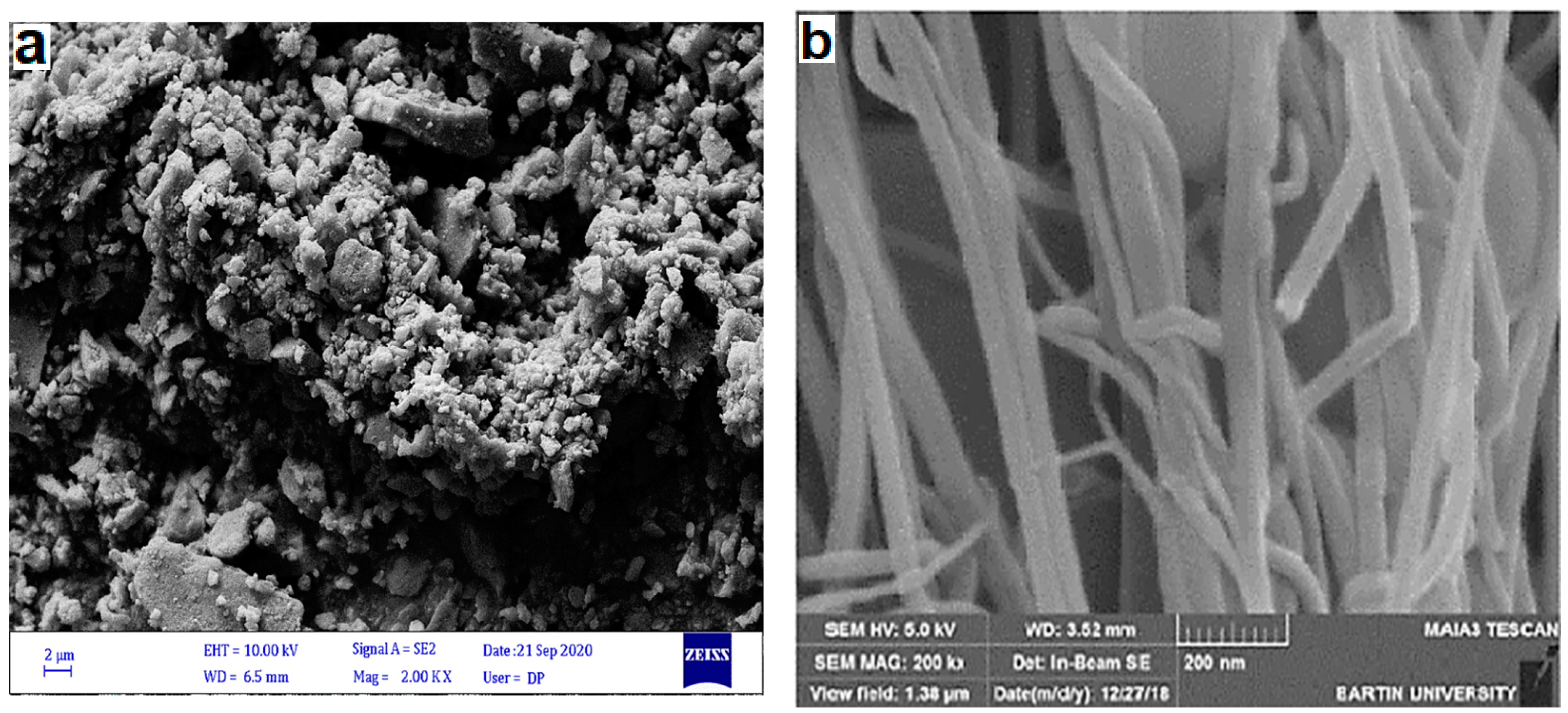 Catalysts 11 00241 g002a