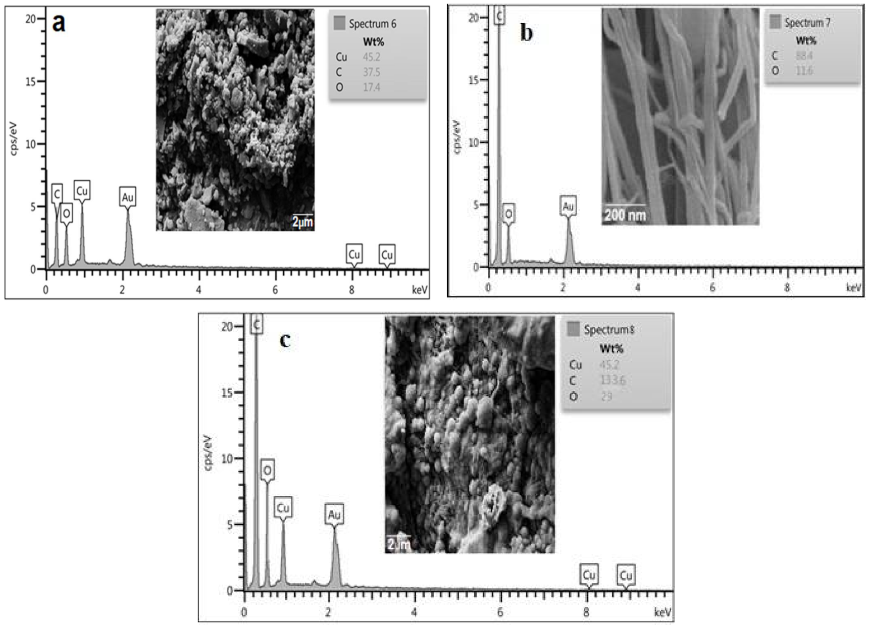 Catalysts 11 00241 g004