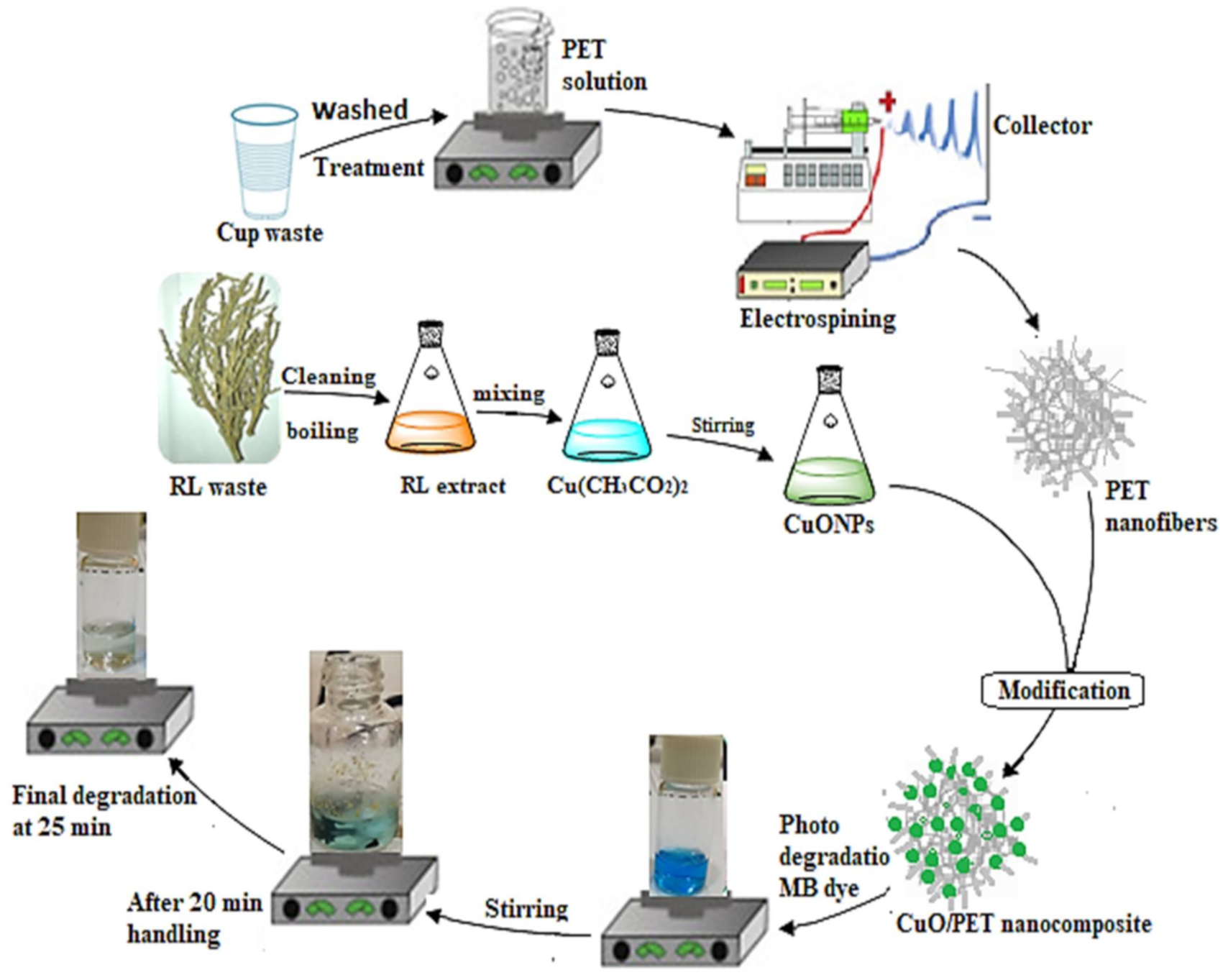 Catalysts 11 00241 sch001