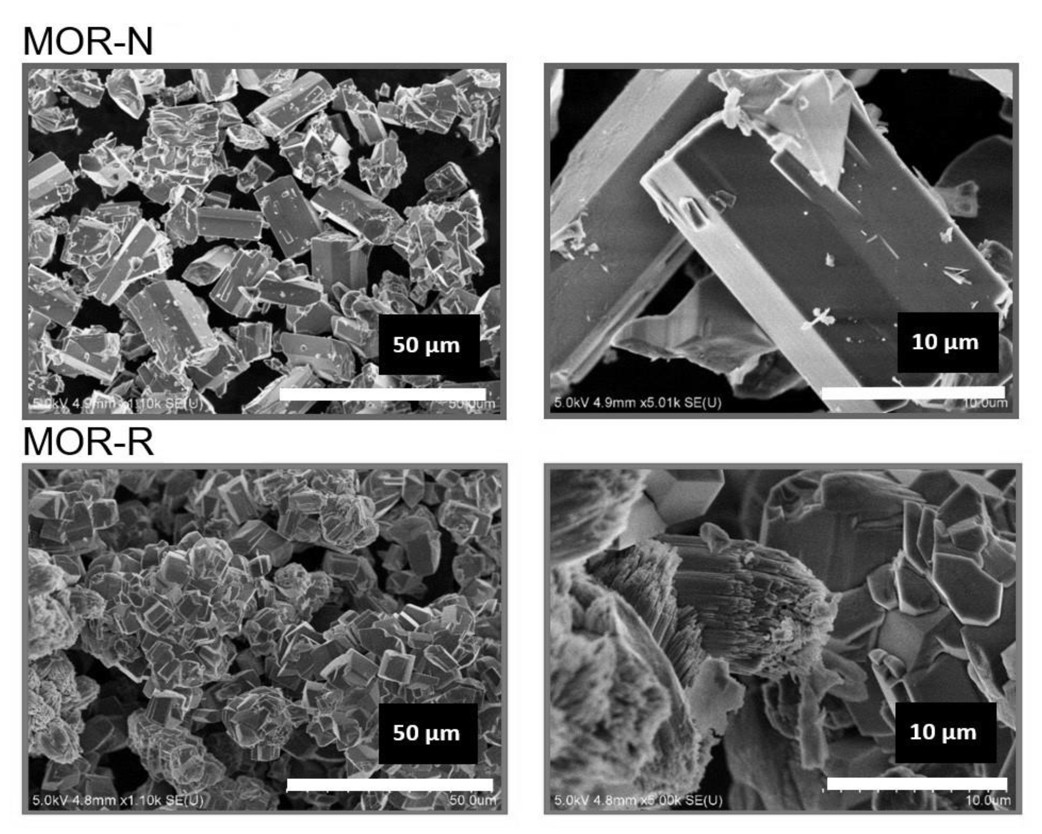 Catalysts 11 00246 g010 Catalysts 11 00246 g010