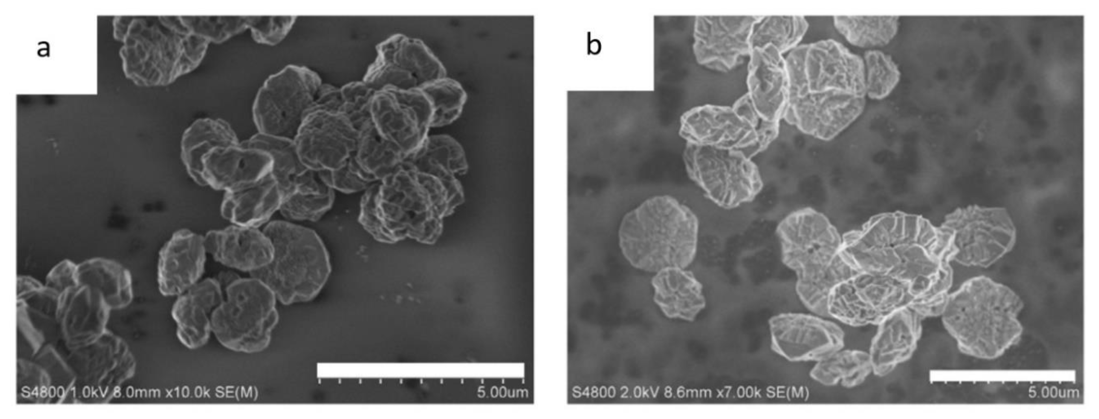 Catalysts 11 00246 g011 Catalysts 11 00246 g011
