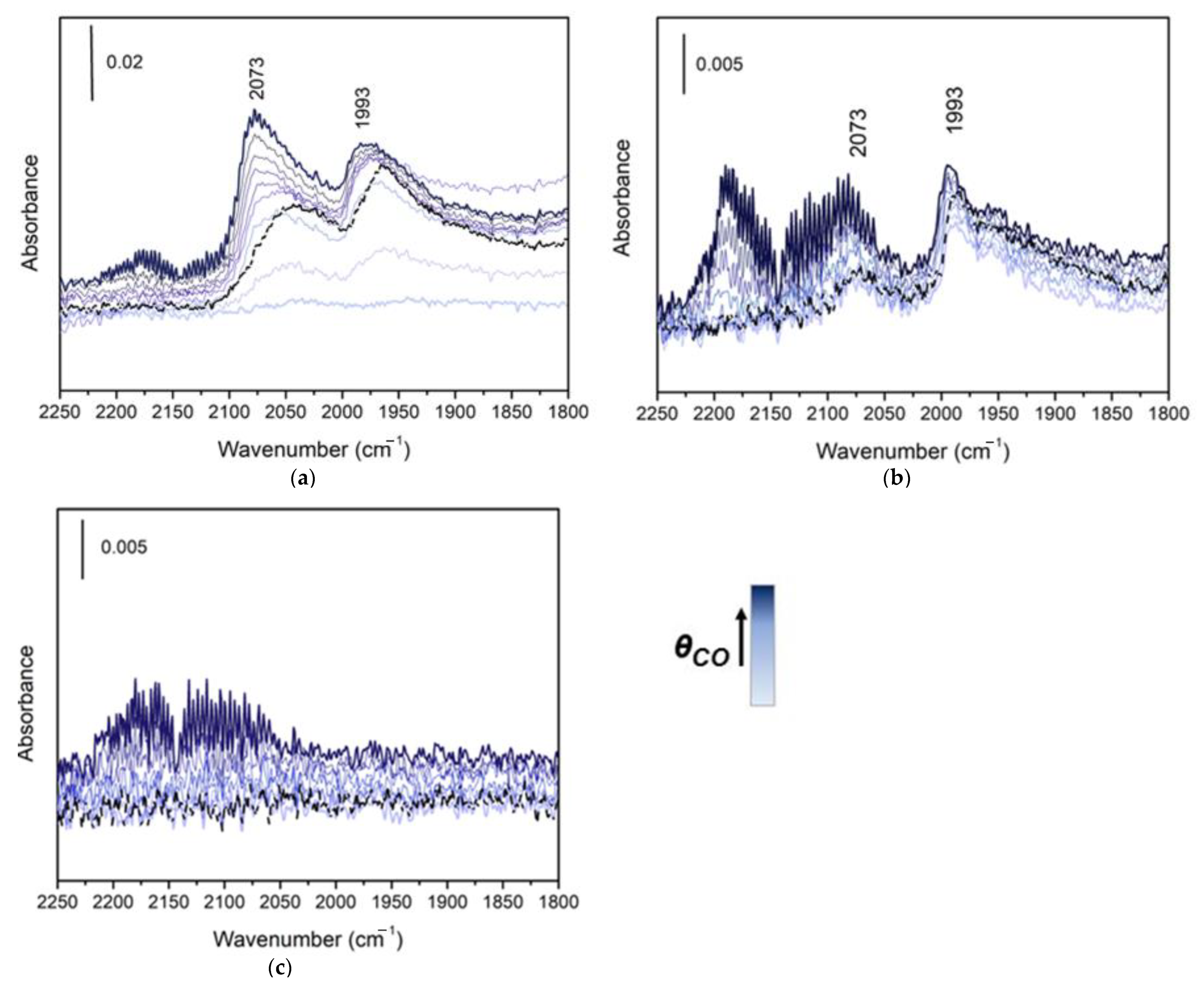 Catalysts 11 00247 g001