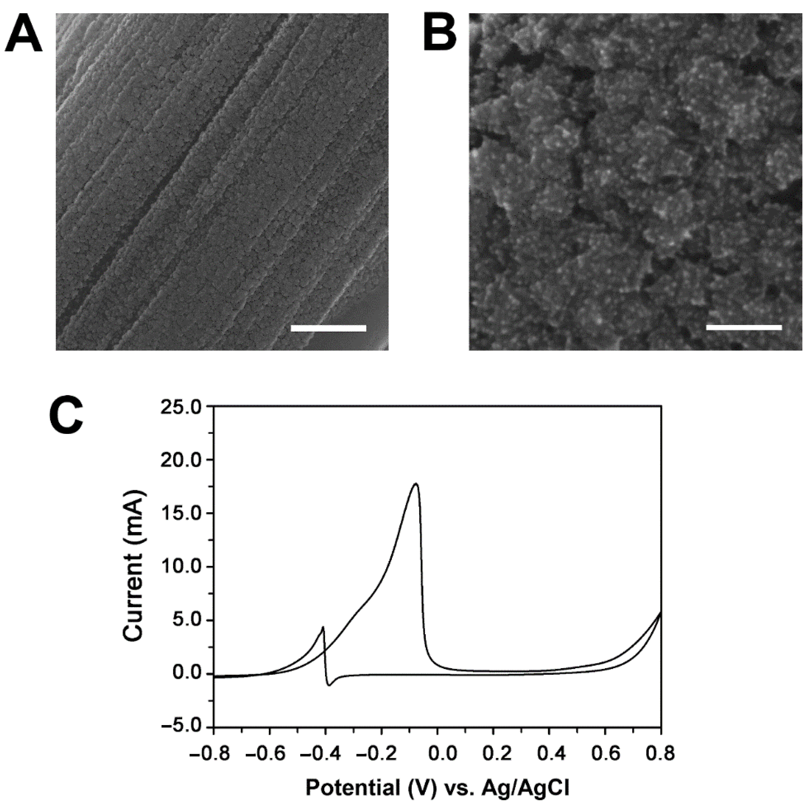 Catalysts 11 00248 g001