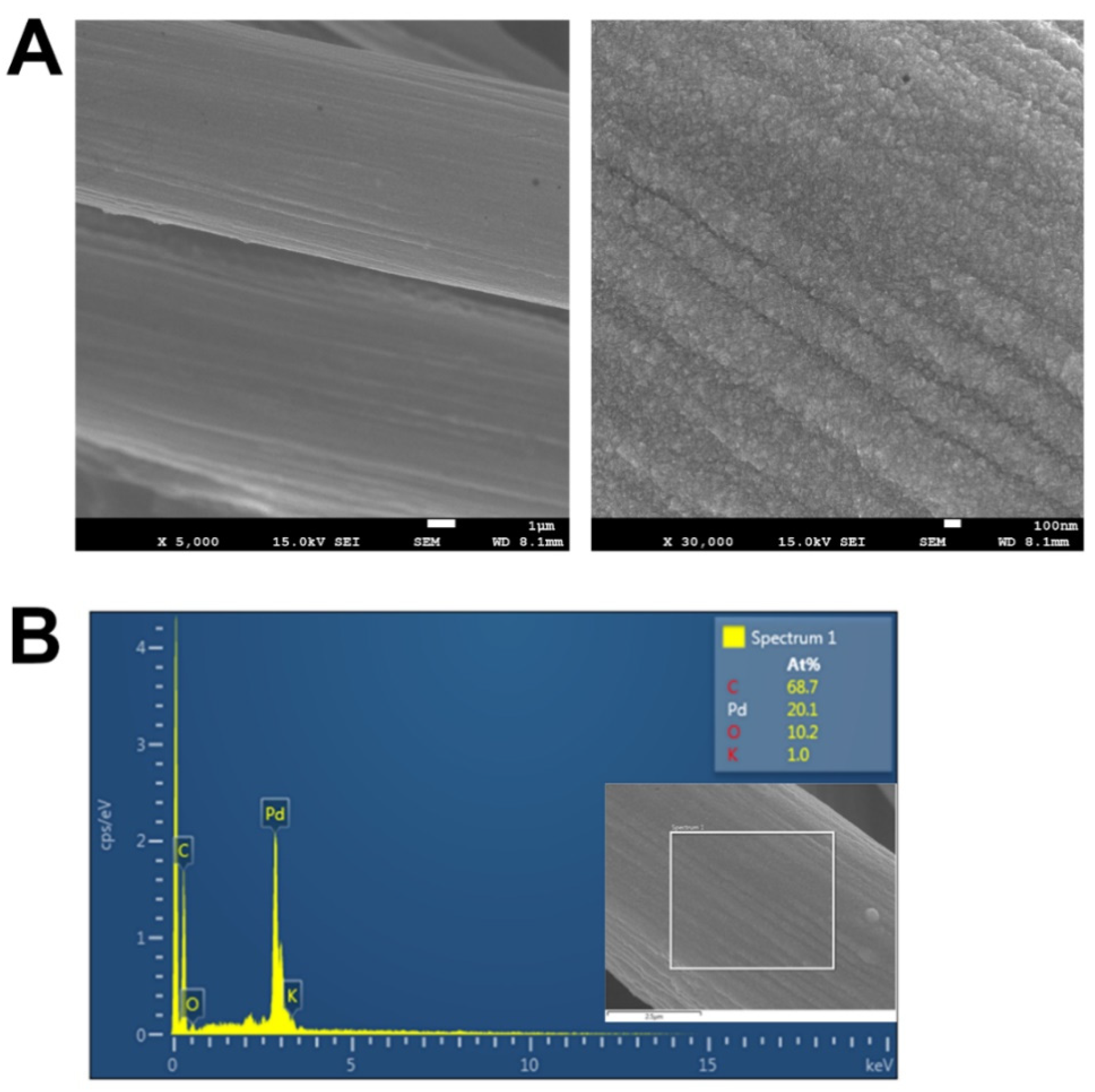 Catalysts 11 00248 g003