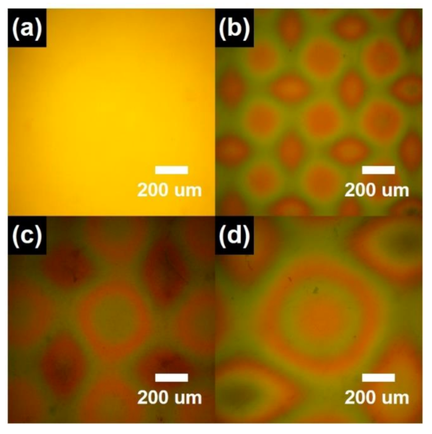 Catalysts 11 00249 g002 Catalysts 11 00249 g002