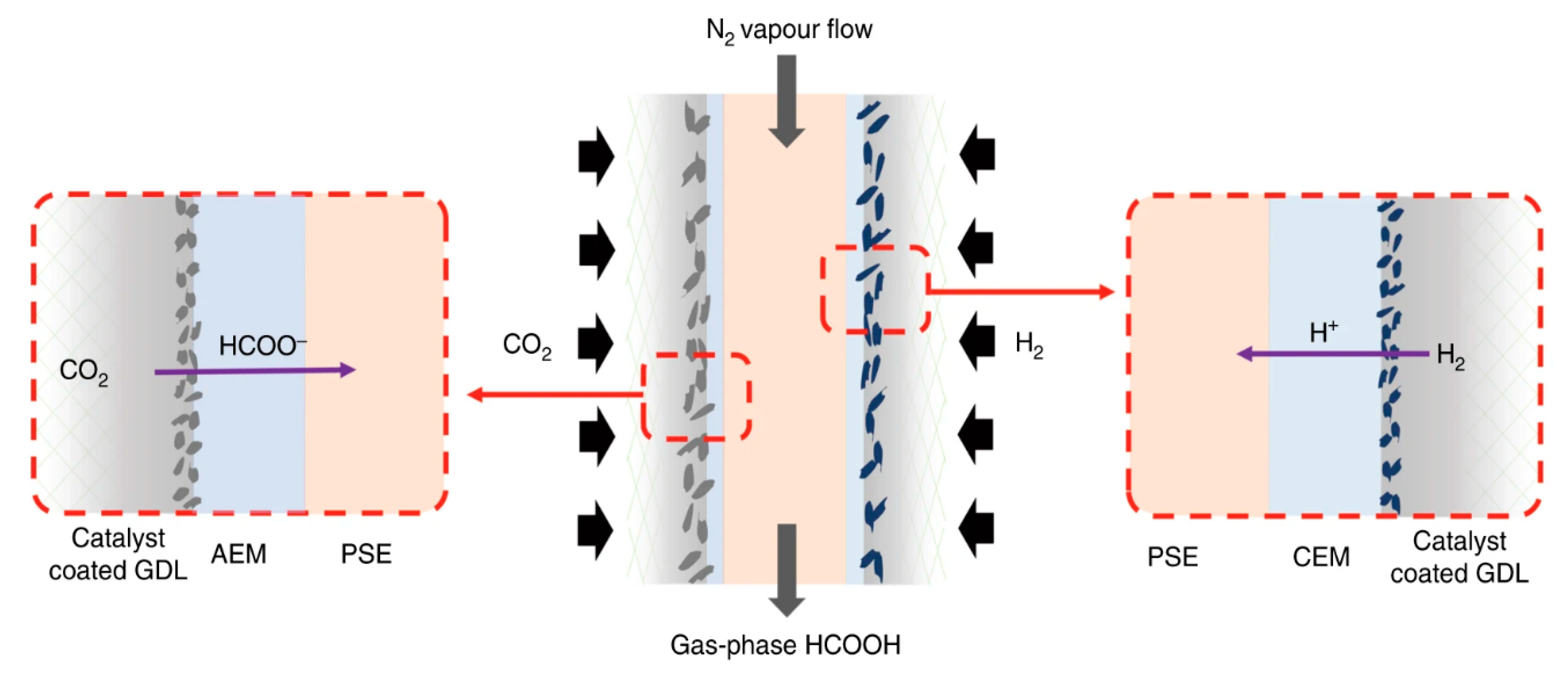 Catalysts 11 00253 g005