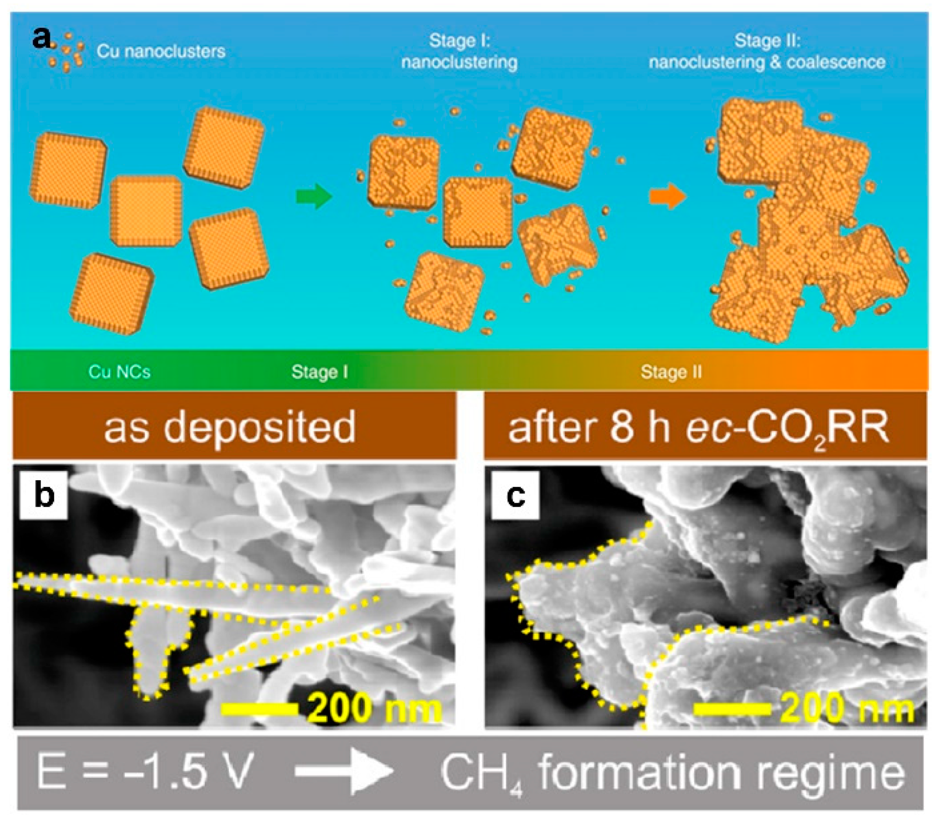 Catalysts 11 00253 g010
