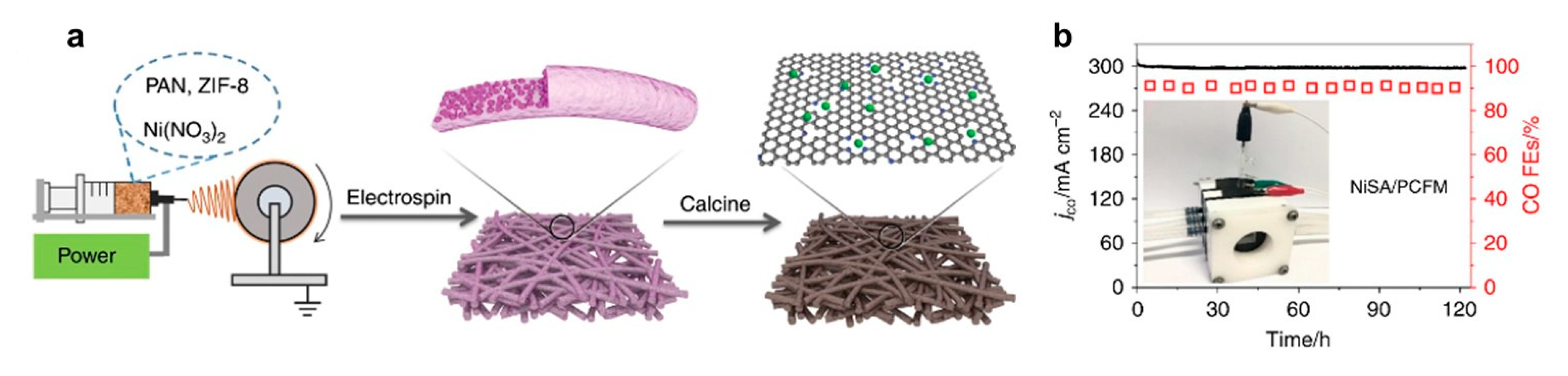 Catalysts 11 00253 g015