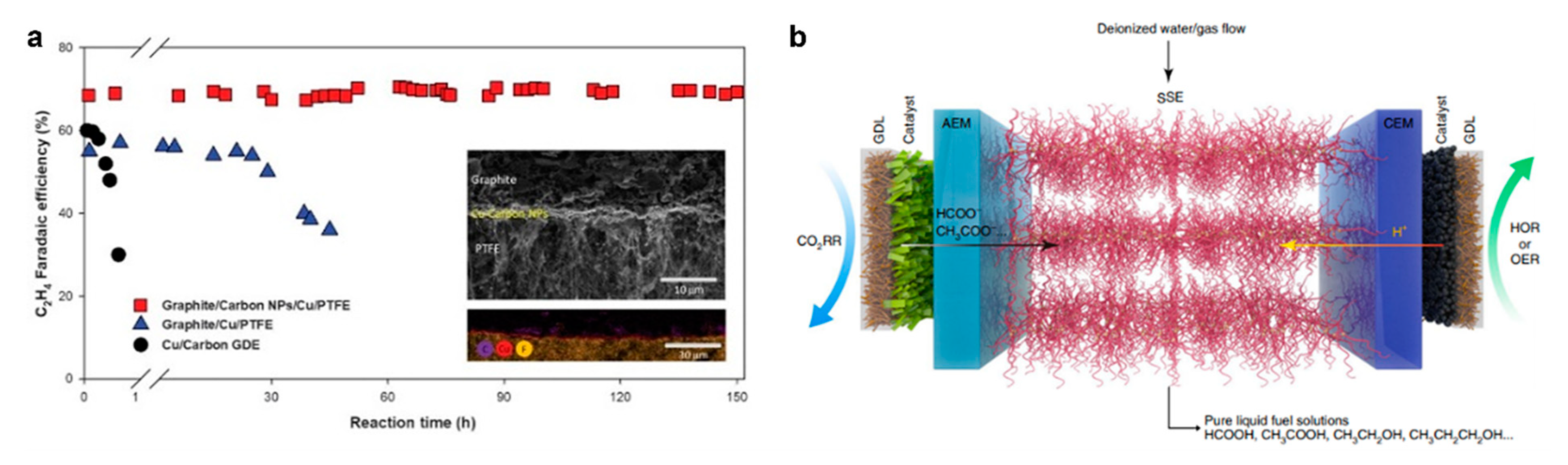 Catalysts 11 00253 g017