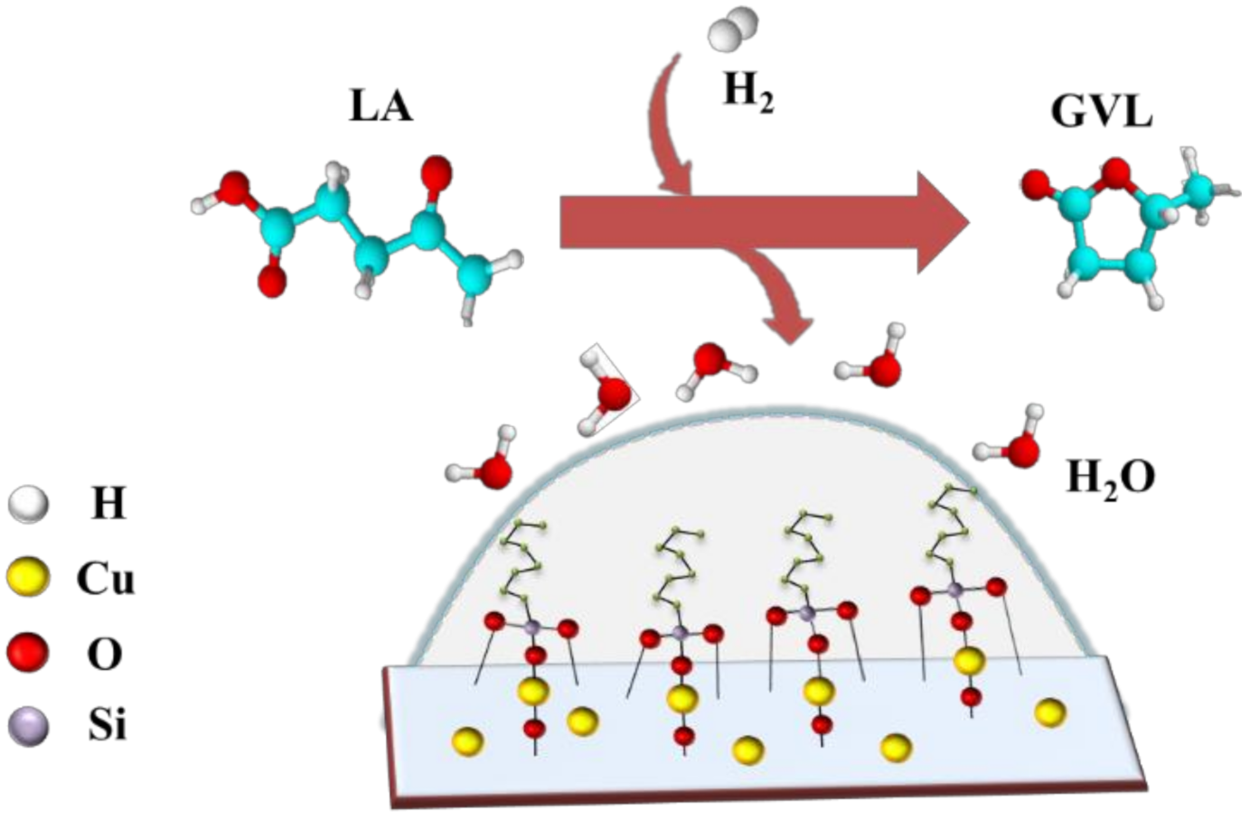 Catalysts 11 00255 g024
