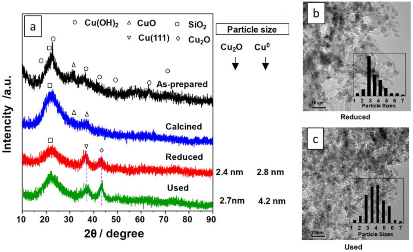 Catalysts 11 00255 g026