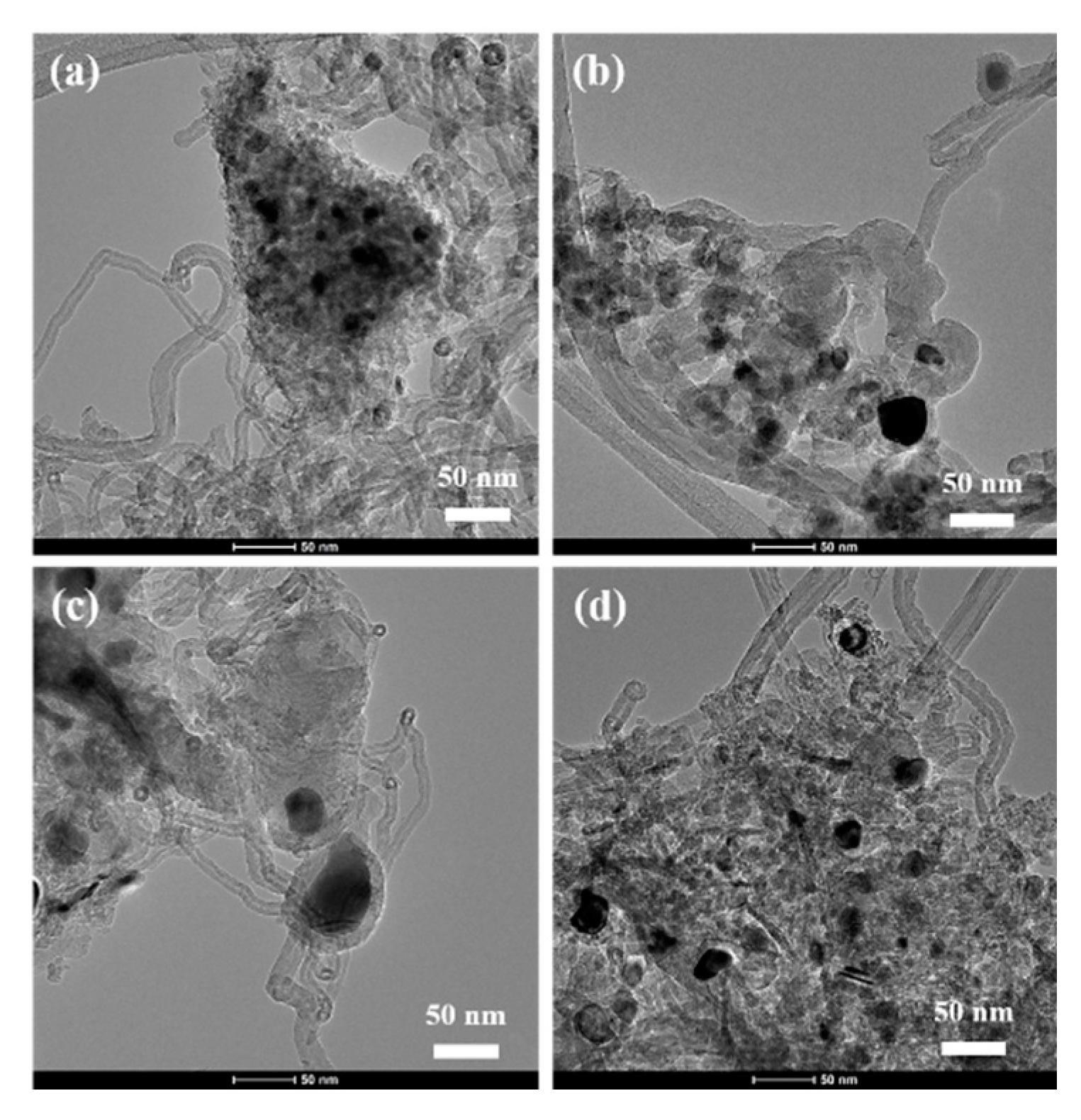Catalysts 11 00260 g005